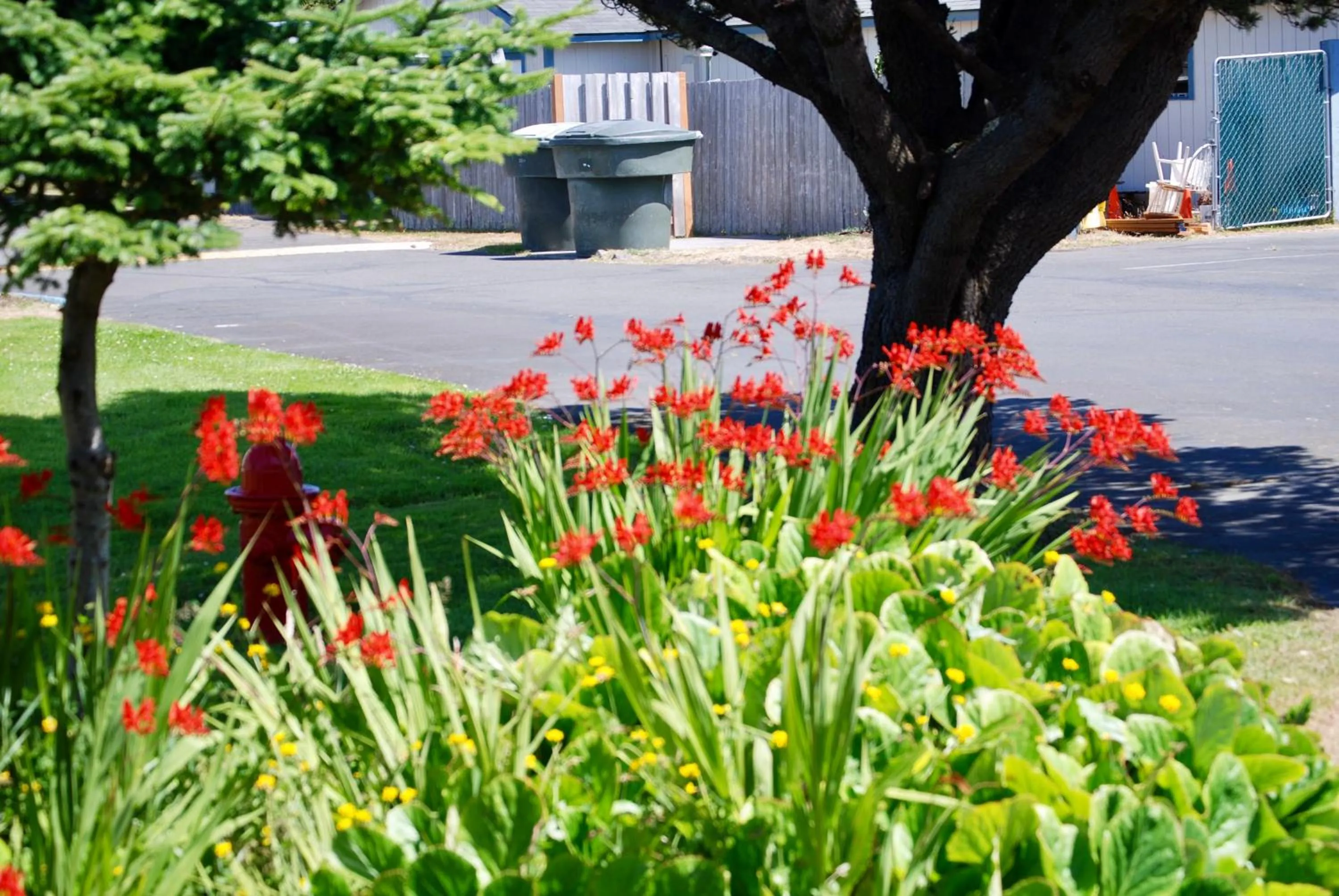 Summer in The Breakers Long Beach