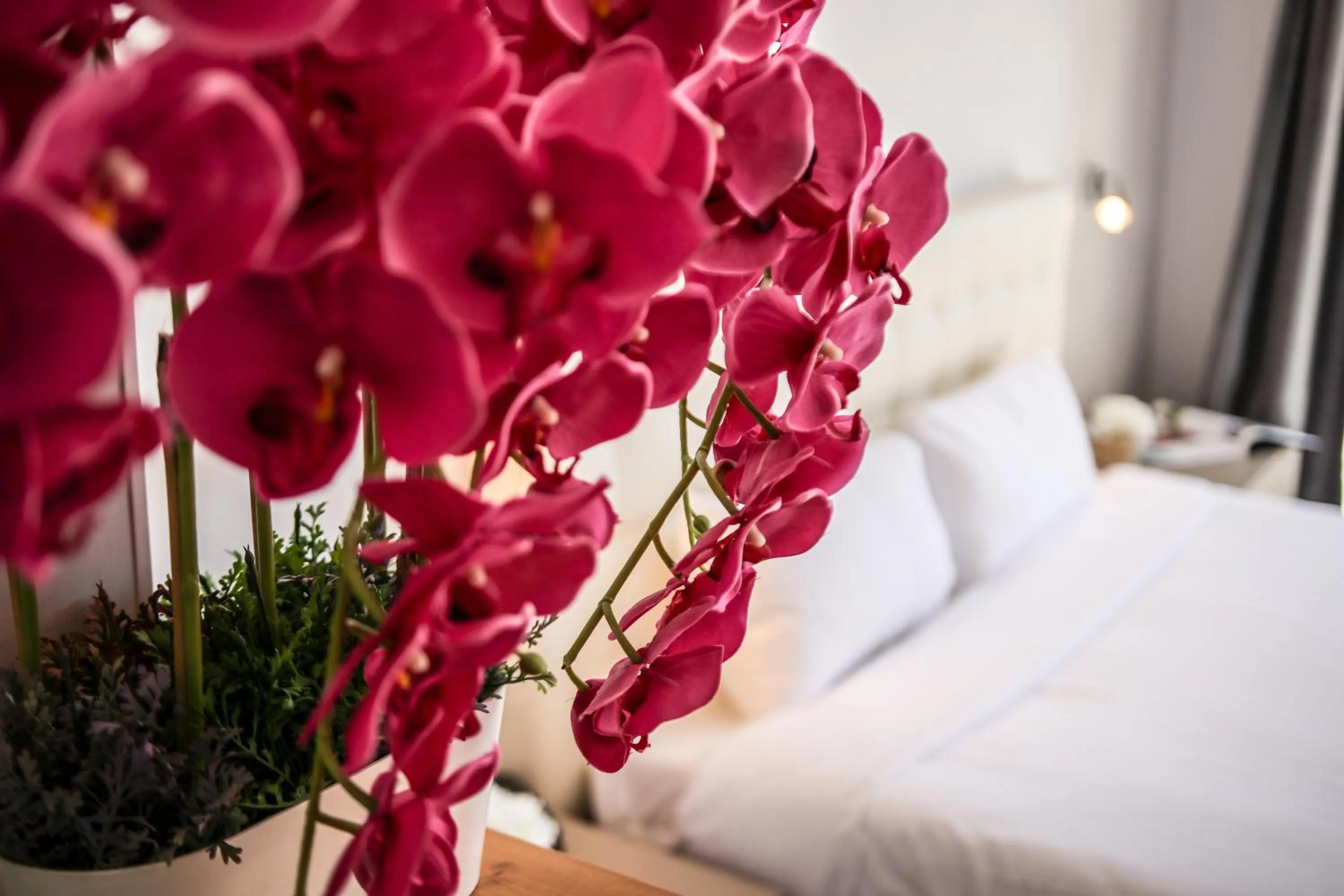 View (from property/room), Bed in Hôtel Restaurant de la Mer