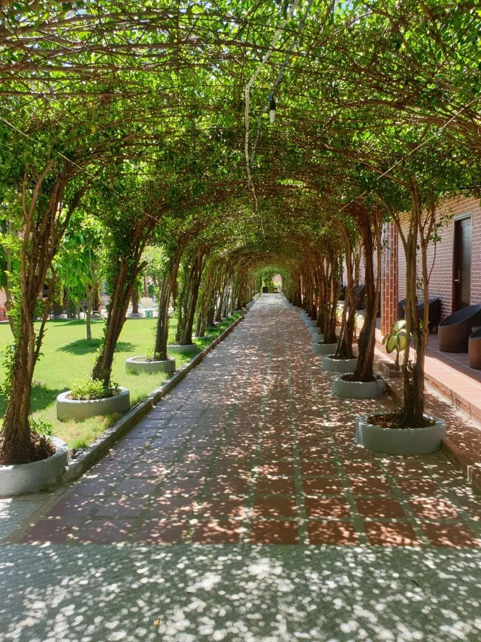 Garden in Le Garden Resort & Spa Phú Quốc