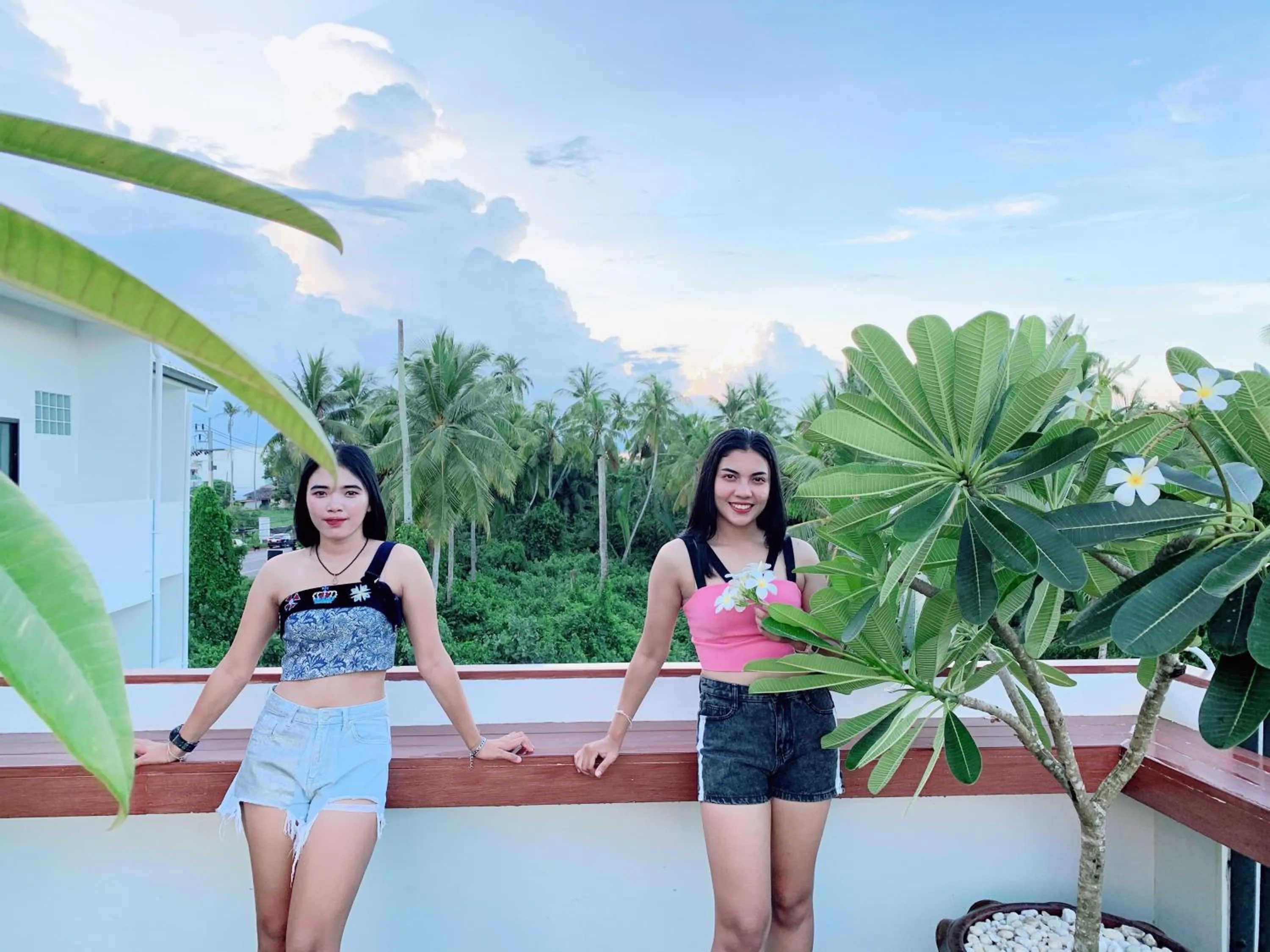 Sleepbox Hostel Suratthani