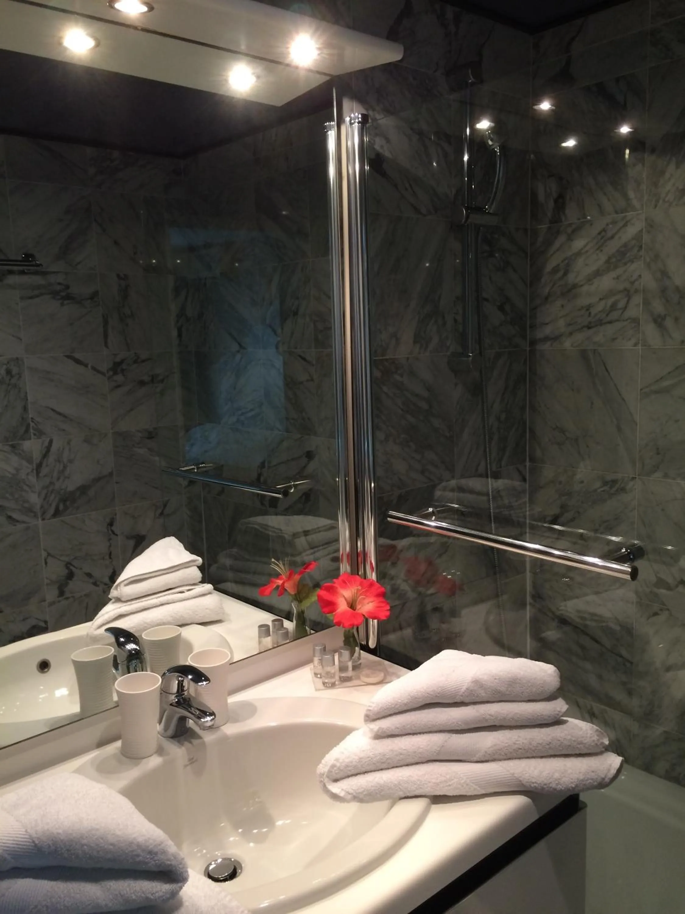 Bathroom in Hotel Le Festival