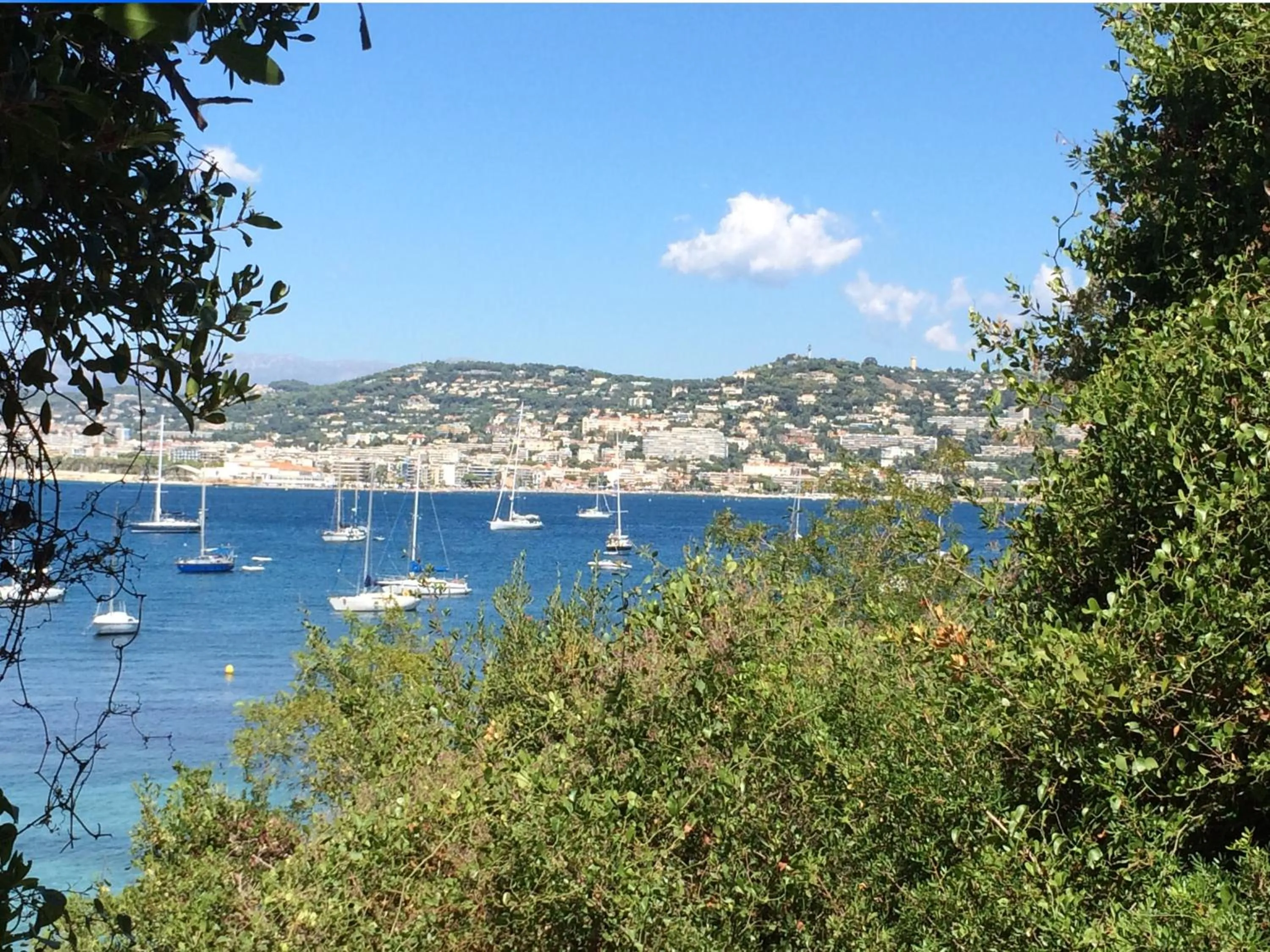 View (from property/room) in Hotel Le Festival