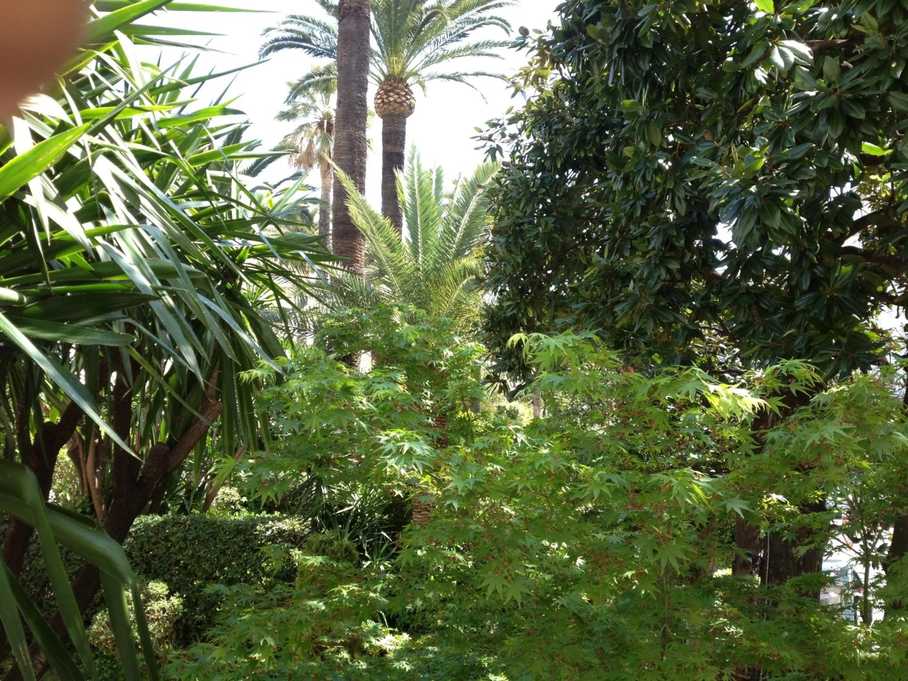 Property building in Hotel Le Festival