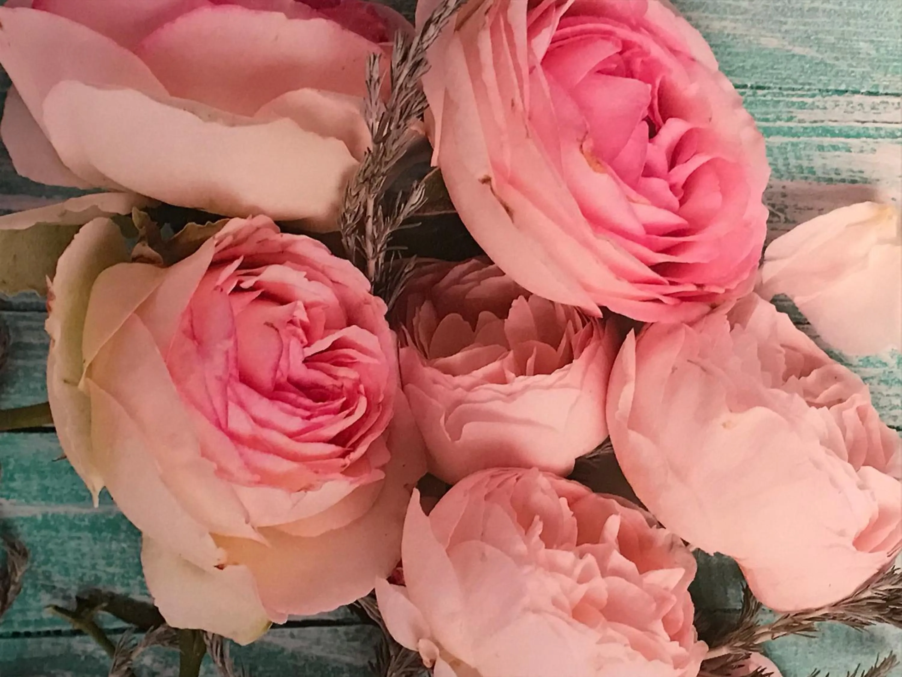 Decorative detail in Hotel Le Festival