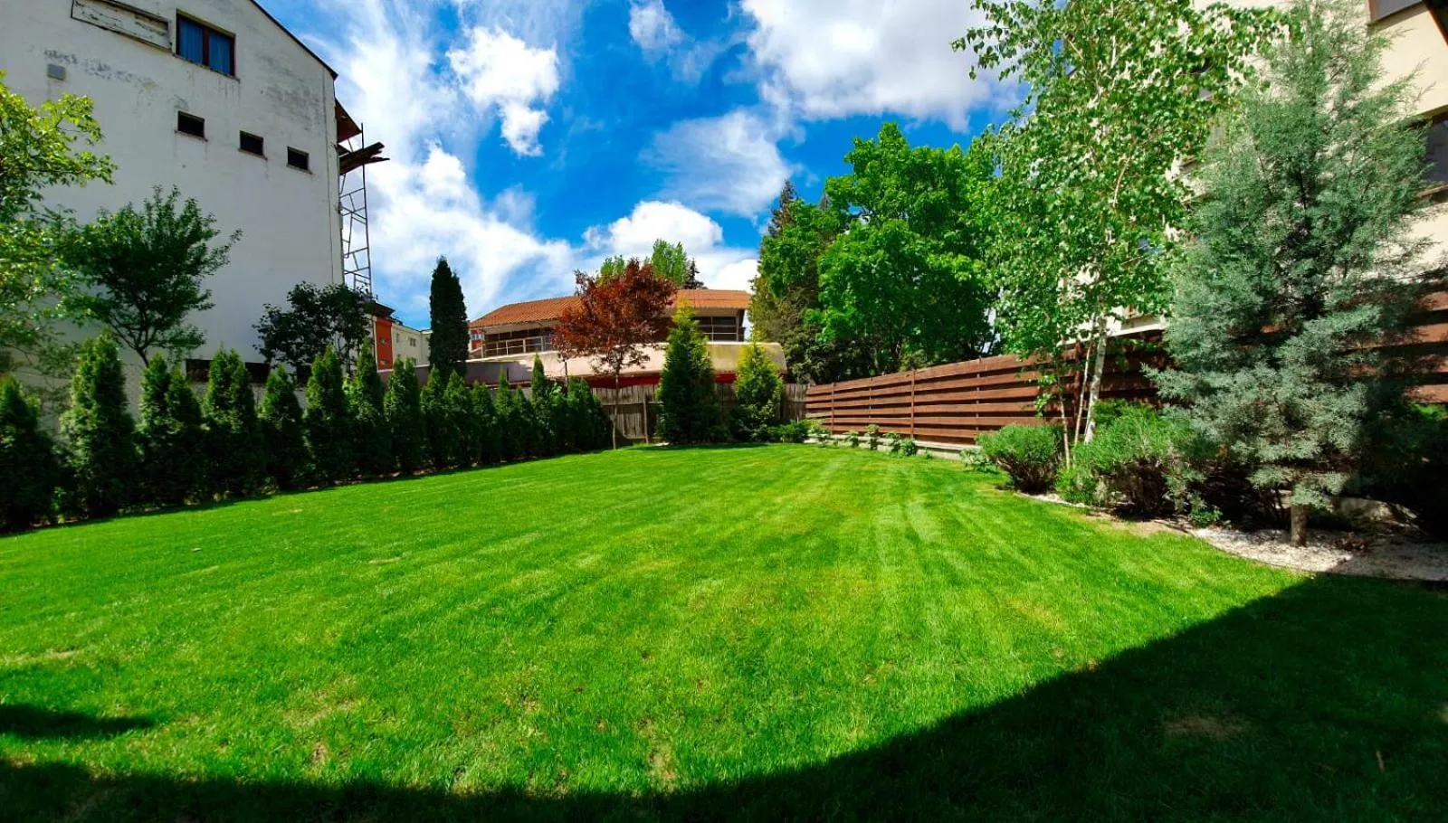 Garden in Elis Residence