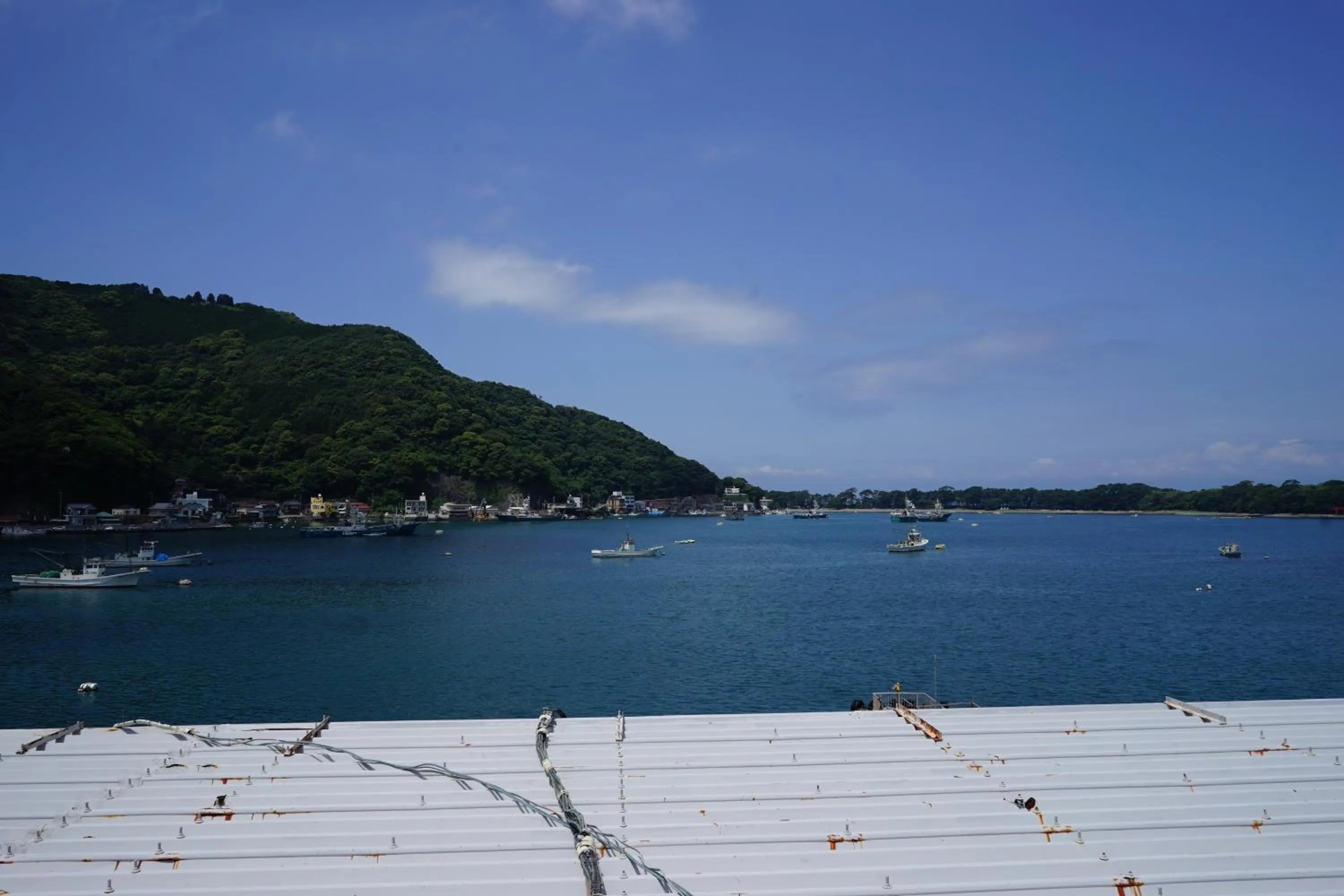 Natural landscape in Tagore Harbor Hostel