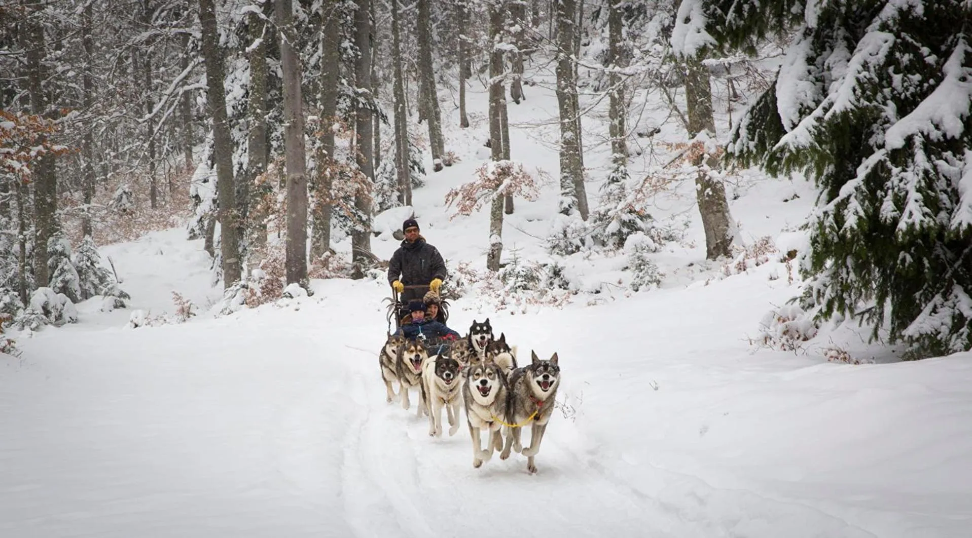 Winter in Chez Lolette