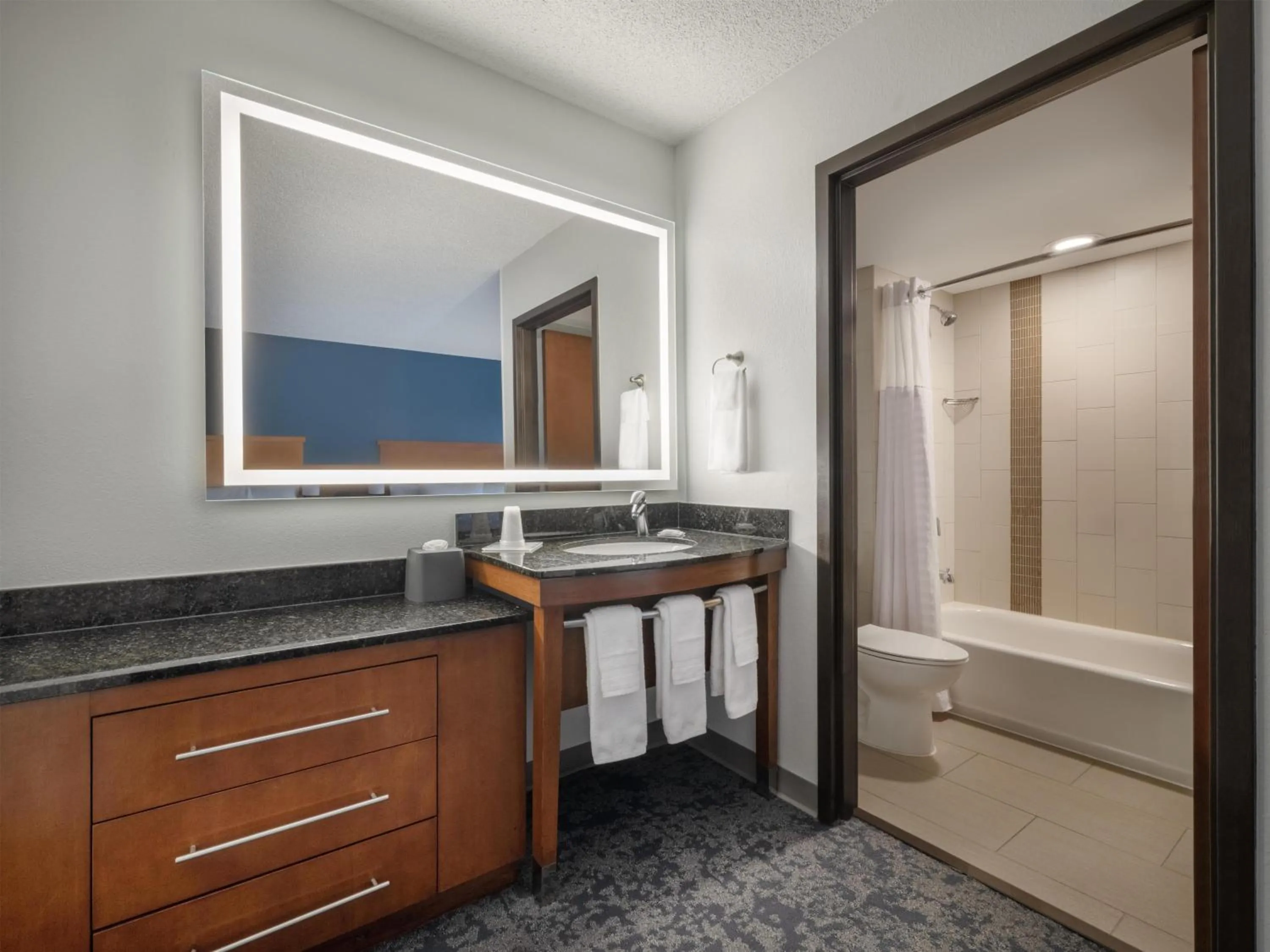 Bathroom in Hyatt Place Lakeland Center