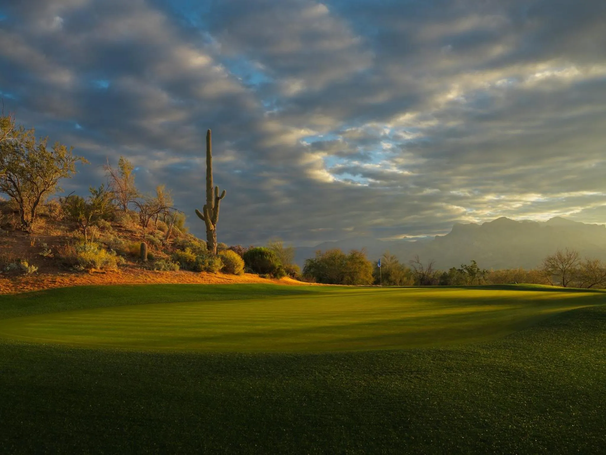 Golfcourse in Omni Tucson National Resort & Spa