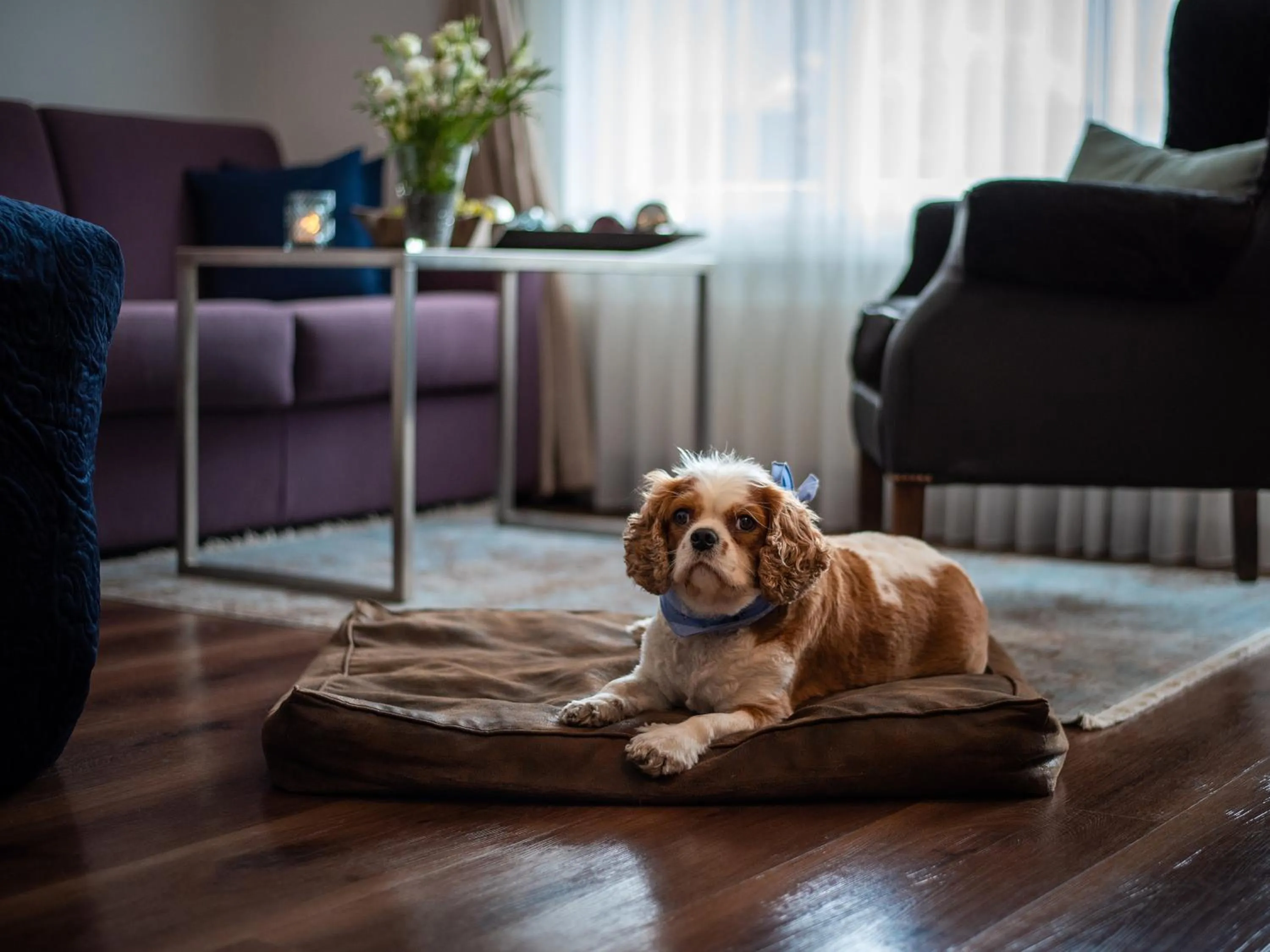 Night in Mirabeau Alpine