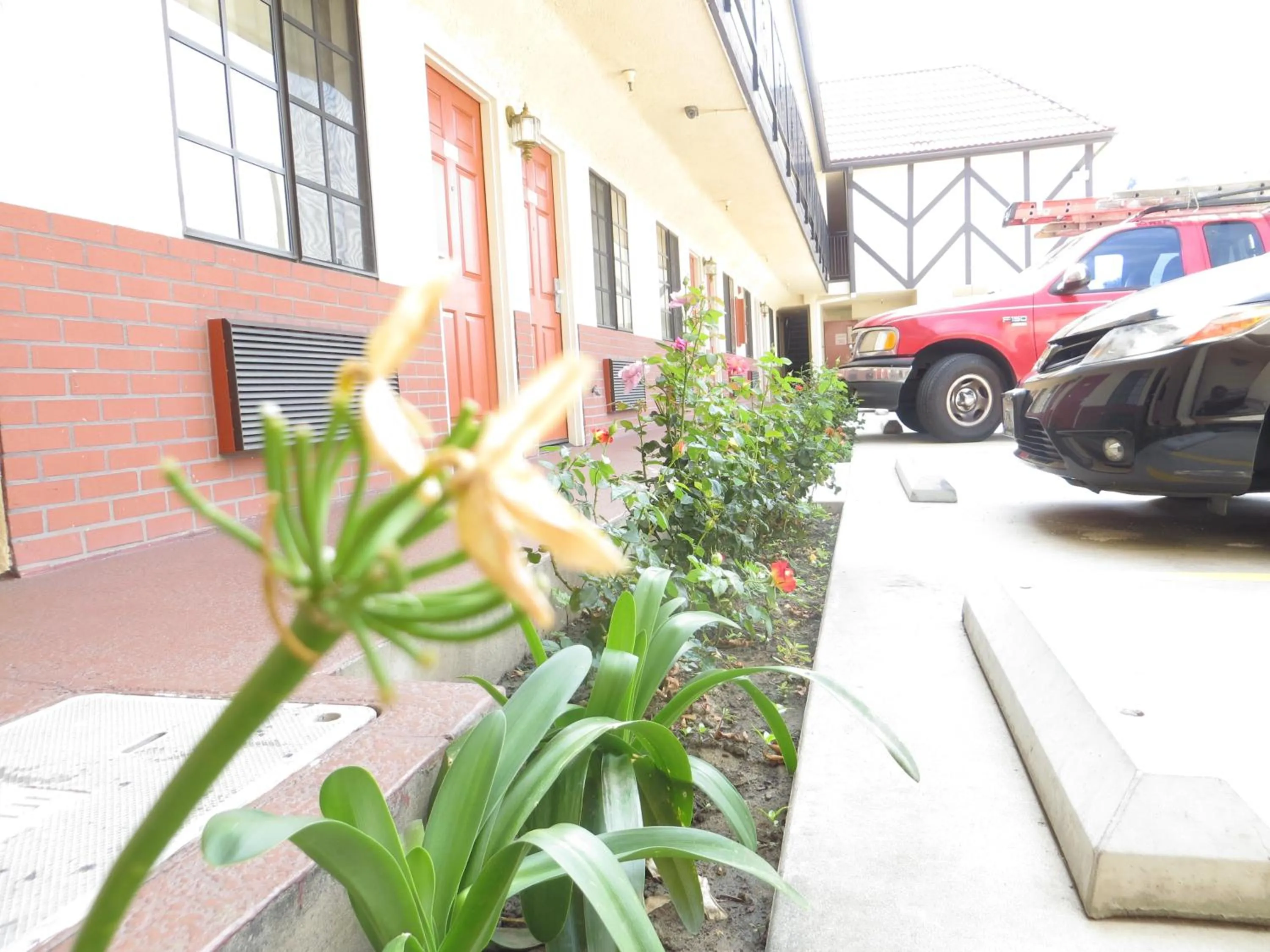 Decorative detail in Executive Suites Inn