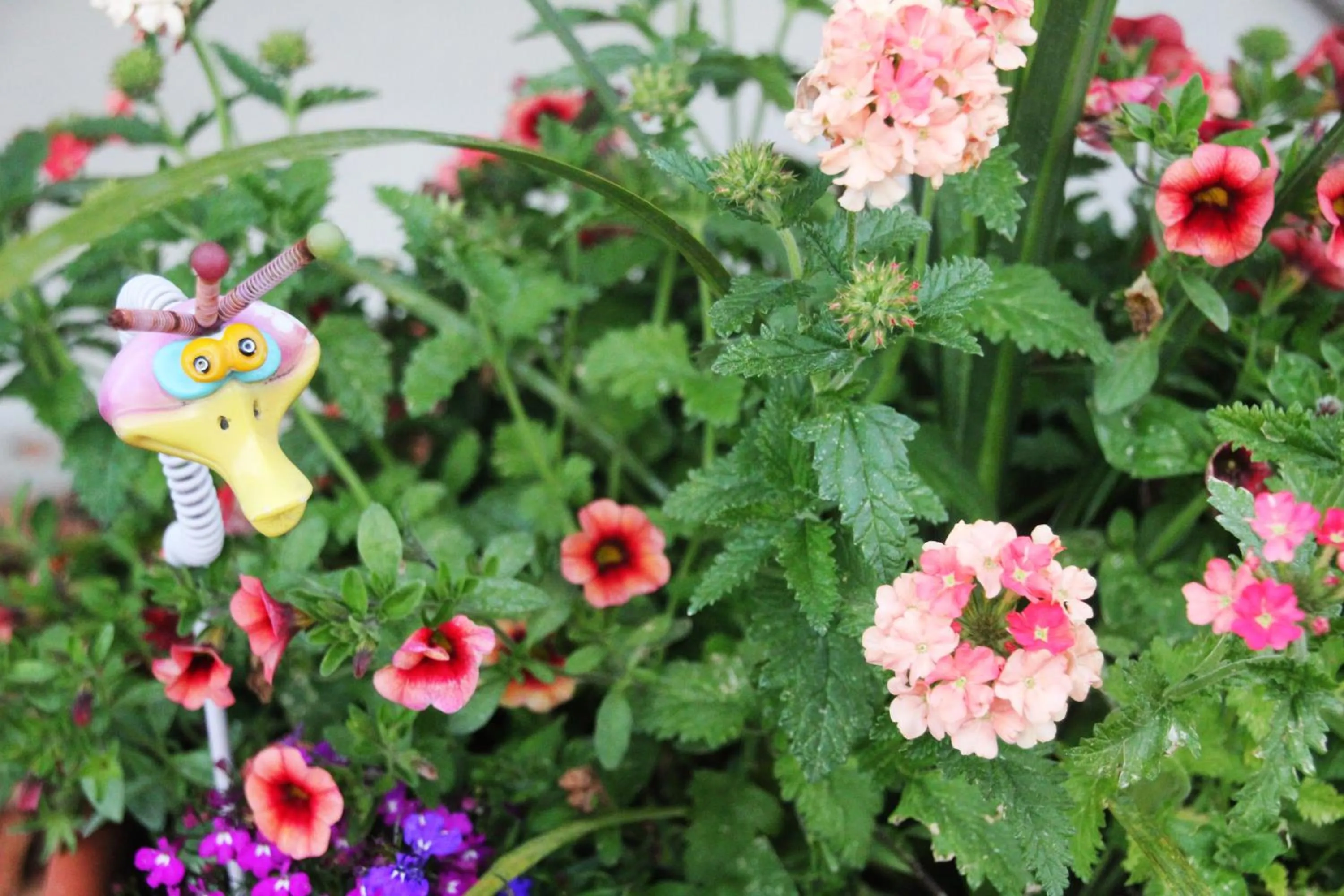 Garden in Caboose Motel