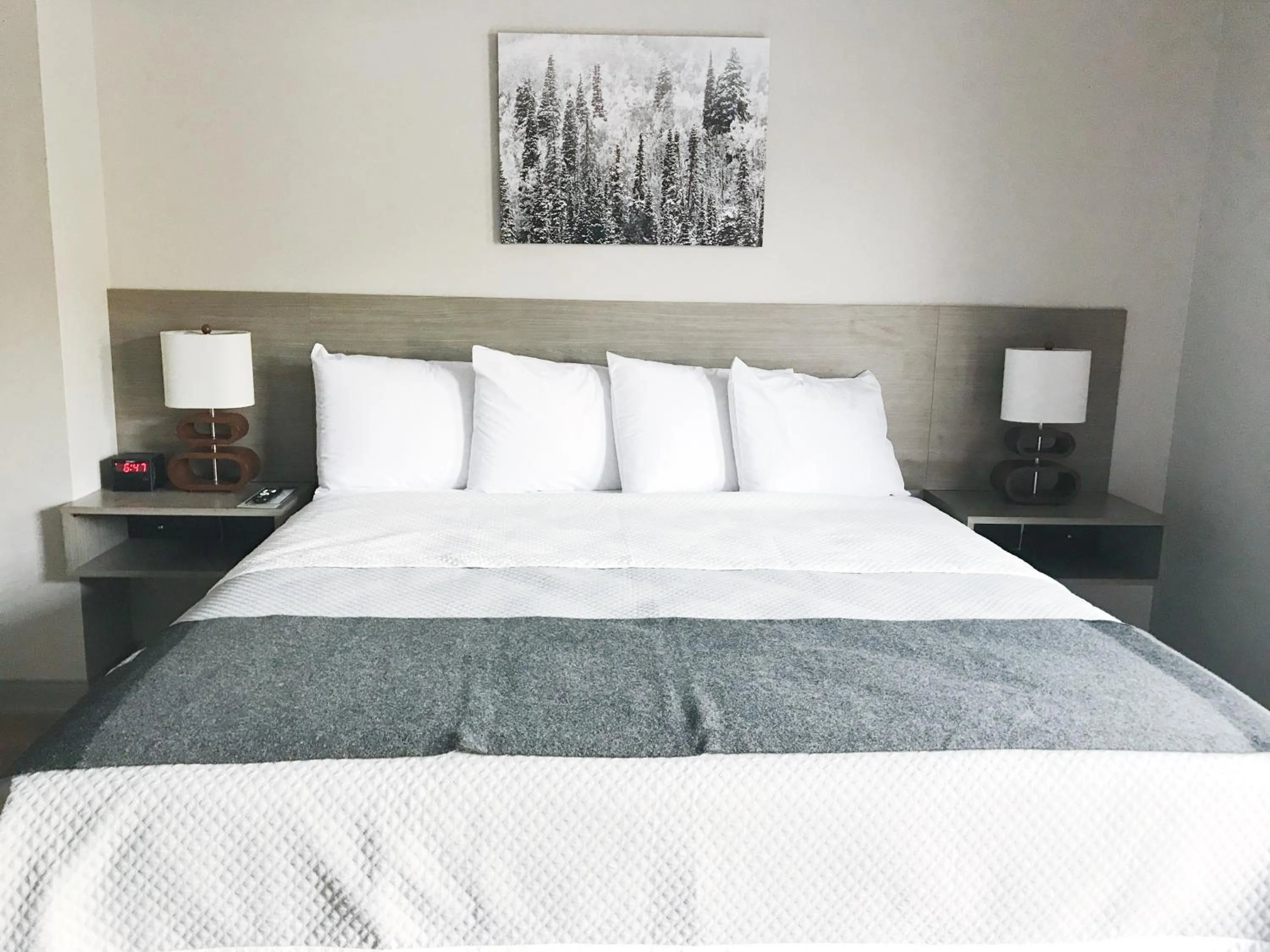 Photo of the whole room in Airport Inn