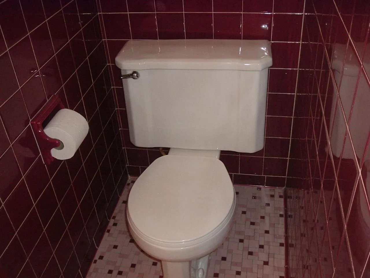 Toilet in Fels Three Crown Motel