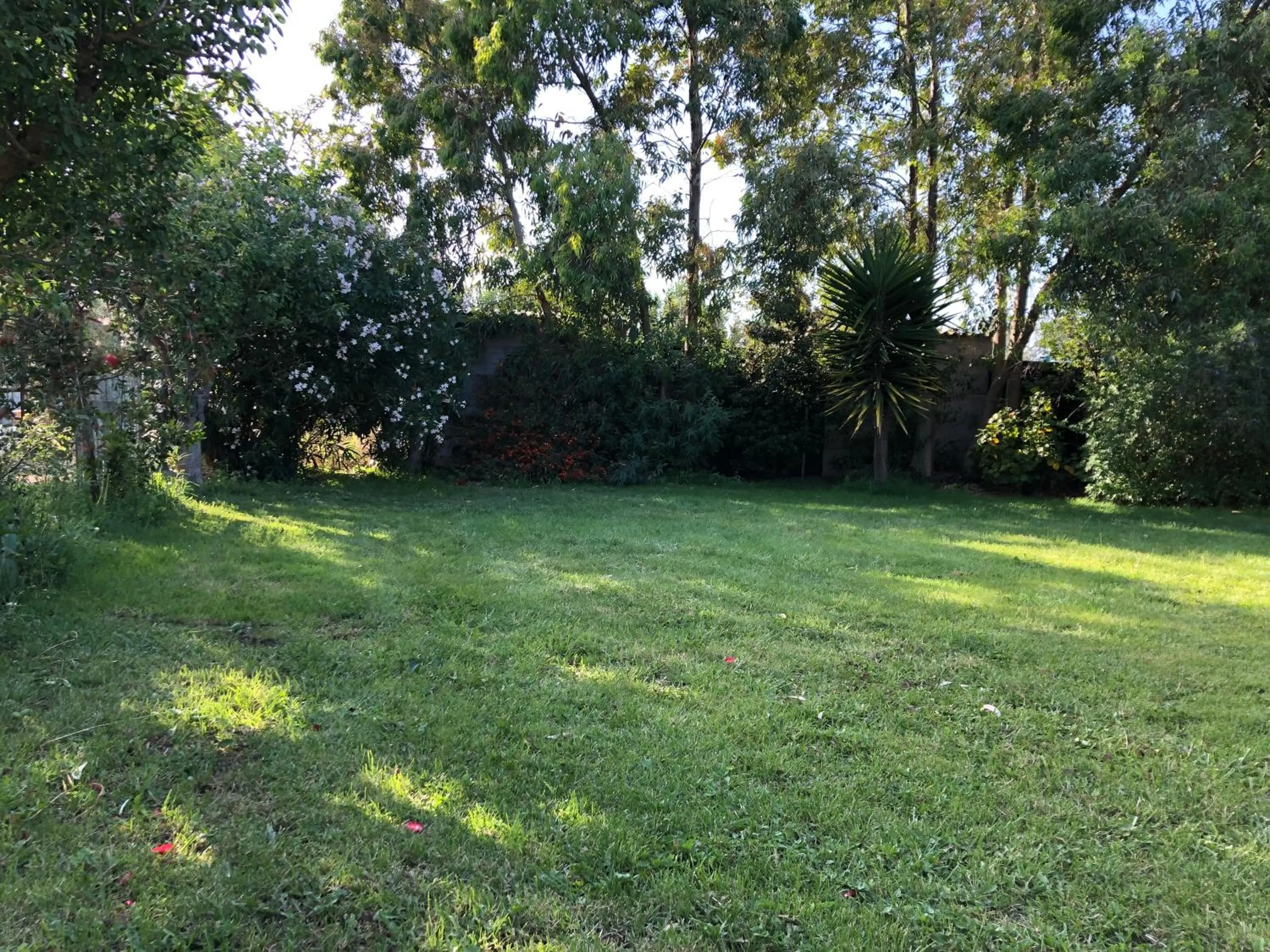 Garden in Le terre cotte