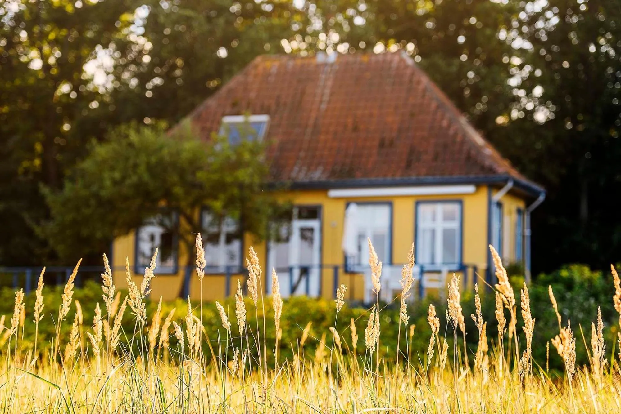 Property building in Skærven Beachfront Apartments and Cottage