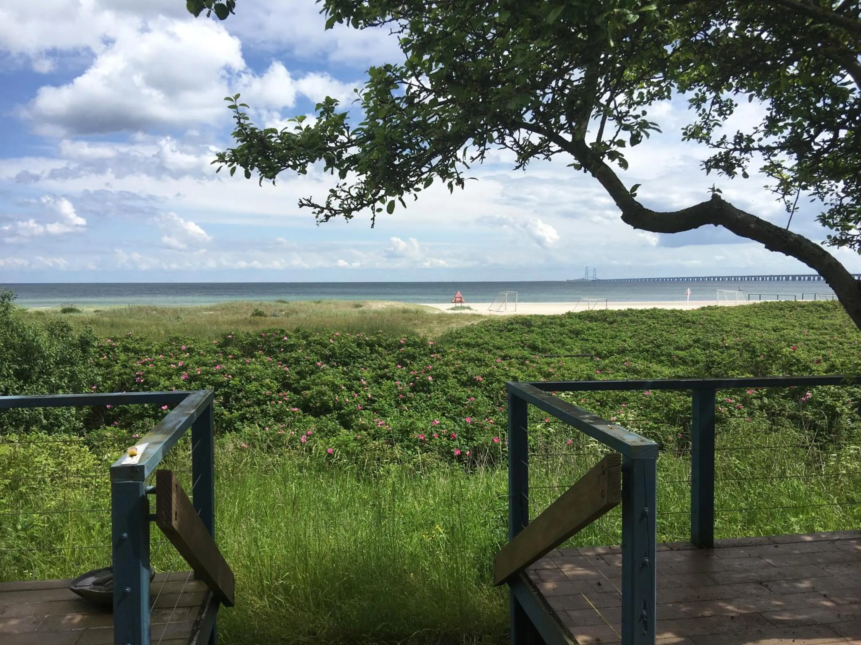 Natural landscape in Skærven Beachfront Apartments and Cottage