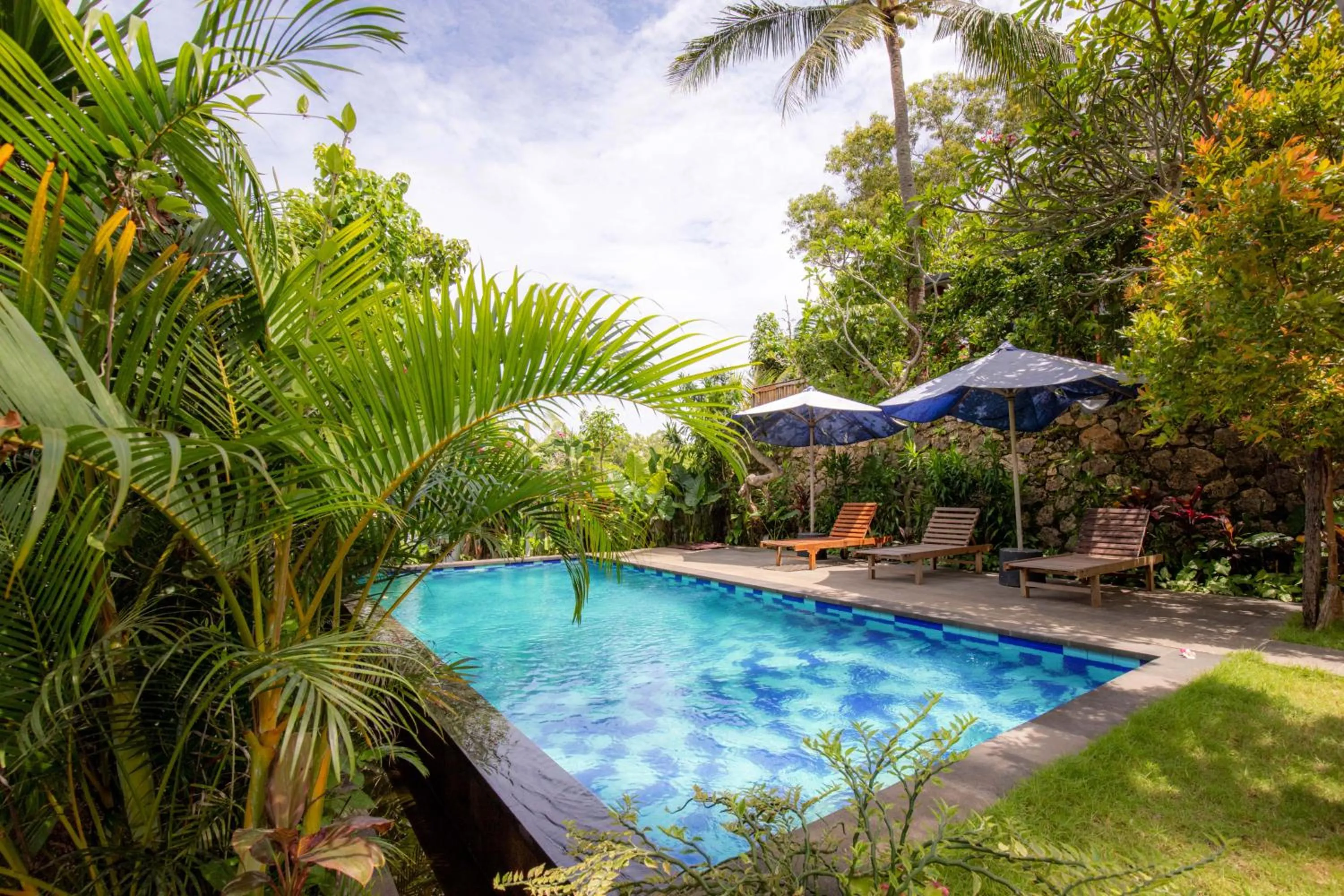 Swimming pool in Bhavana Cottage