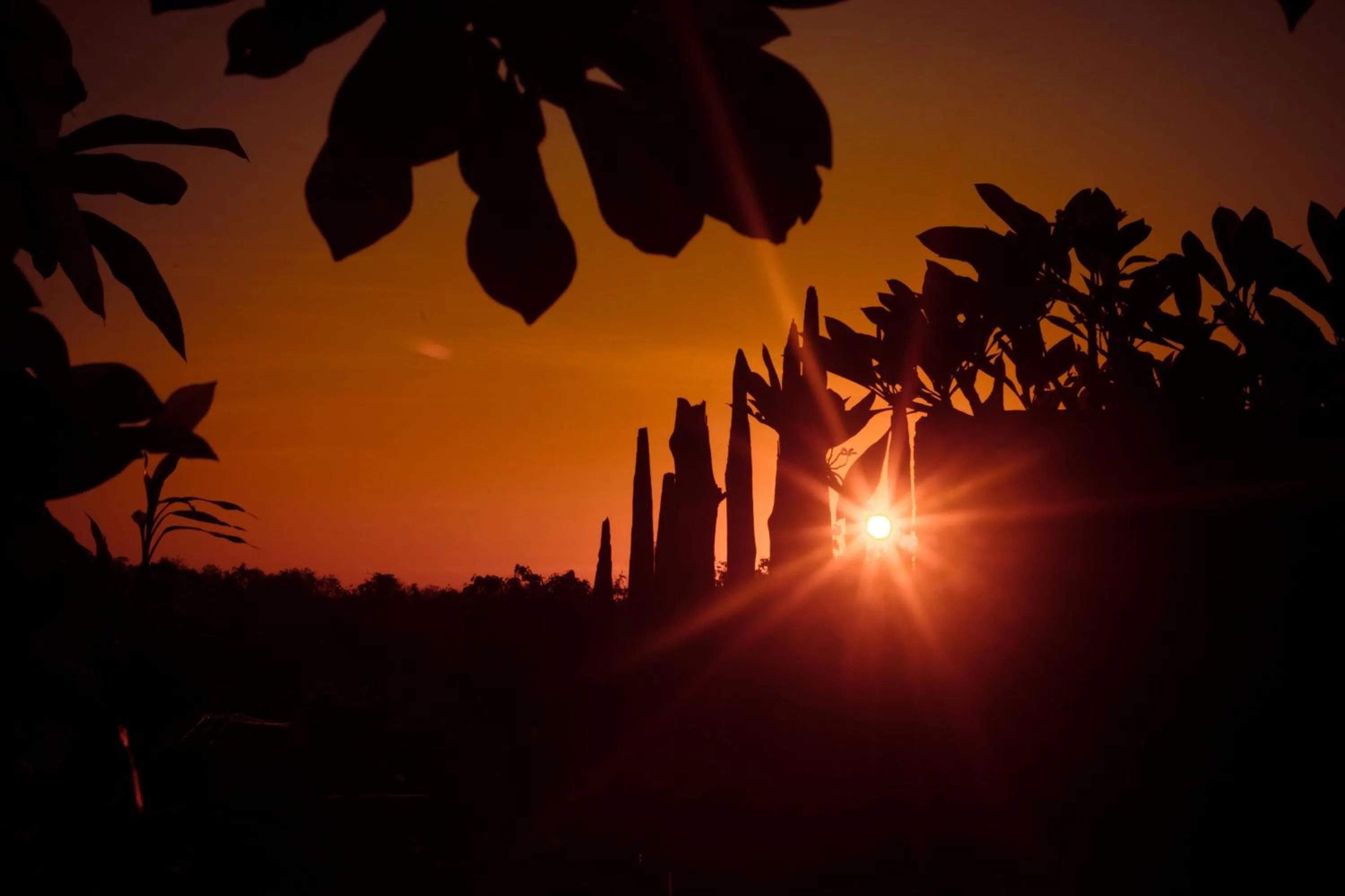 View (from property/room) in Bhavana Cottage