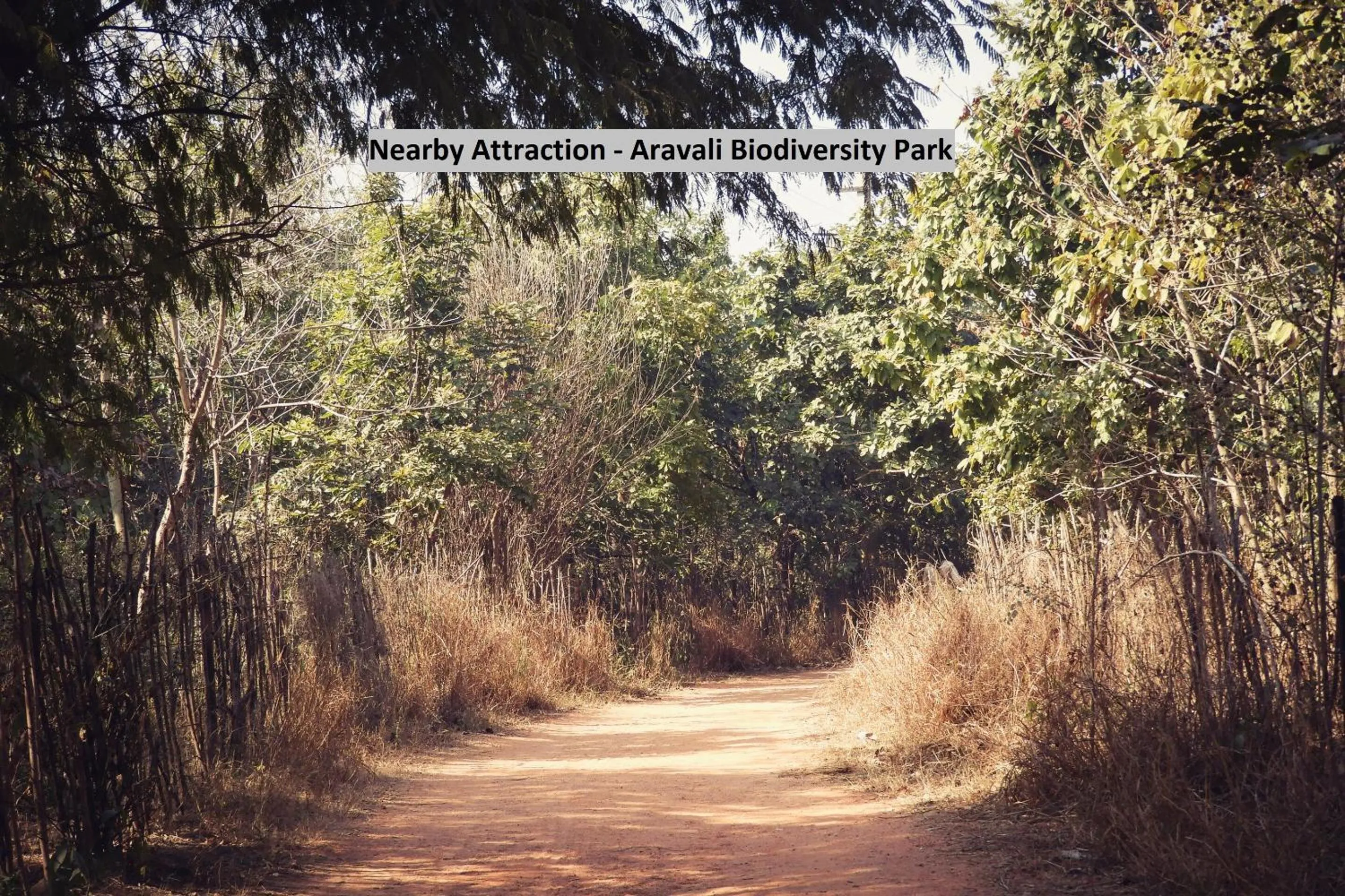 Facade/entrance in Hotel O Grand Casa