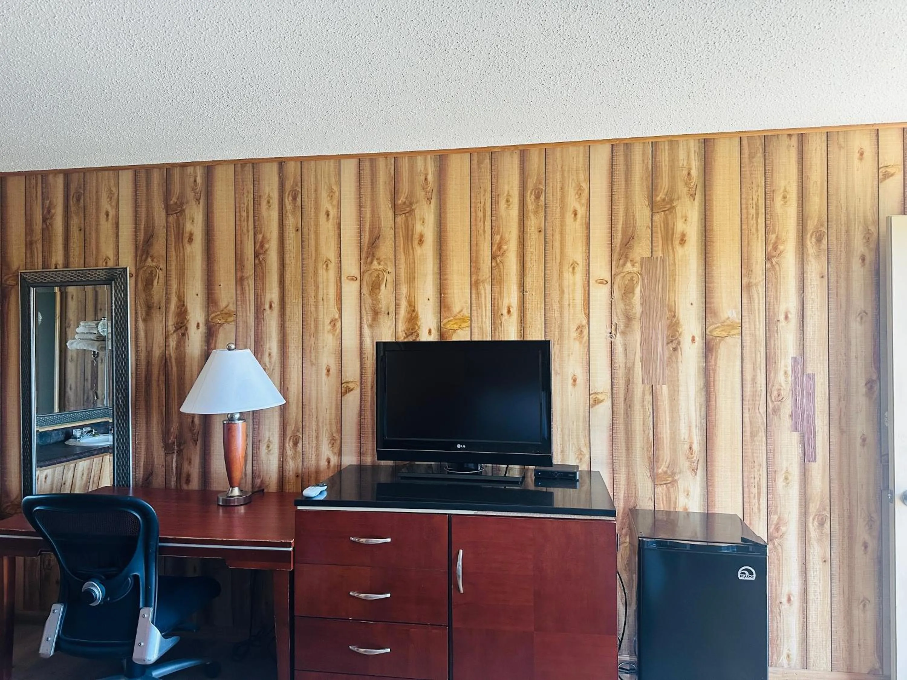 TV and multimedia in Country Inn - Licking