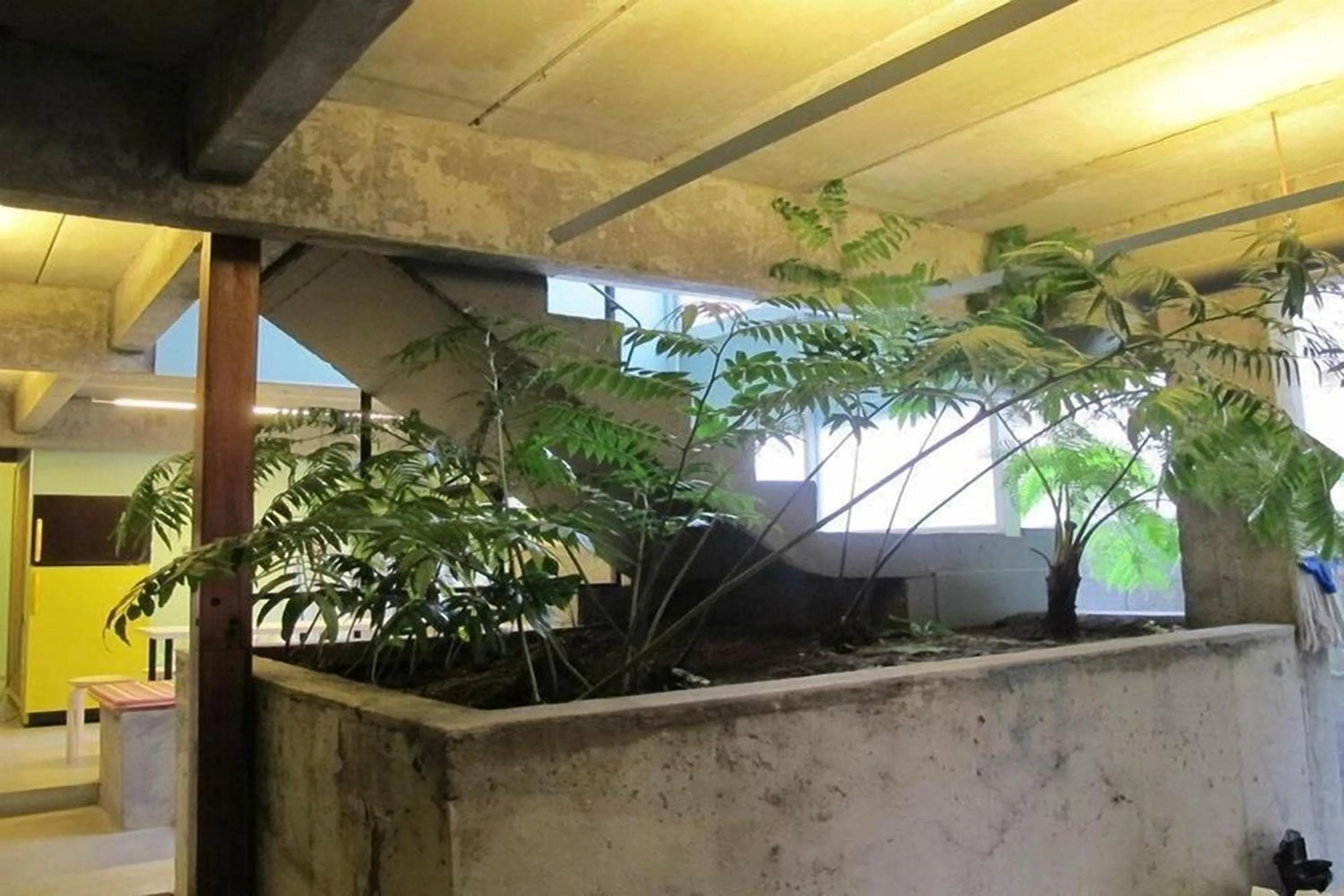 Garden in HeyHa House ChiangMai