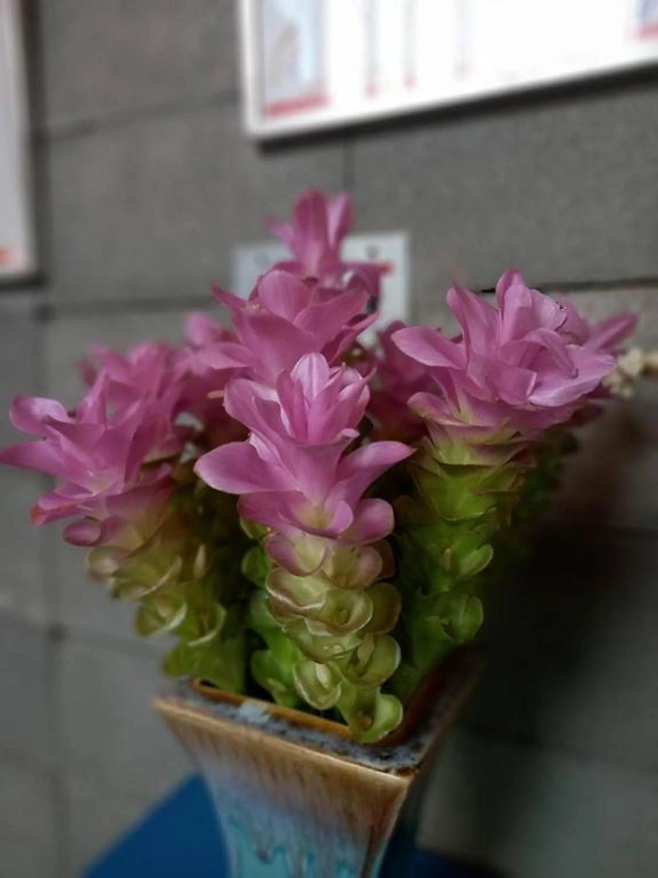 Decorative detail in HeyHa House ChiangMai
