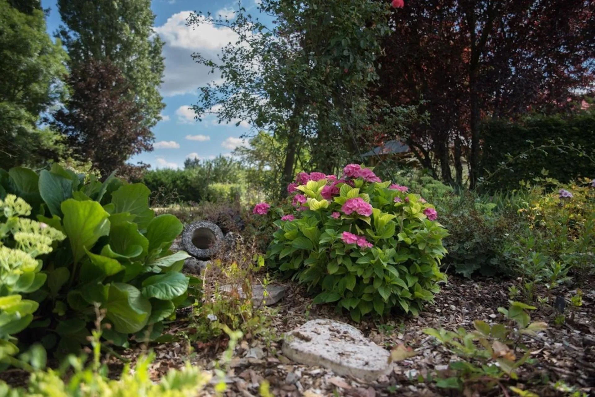 Garden in LA DEMALERIE