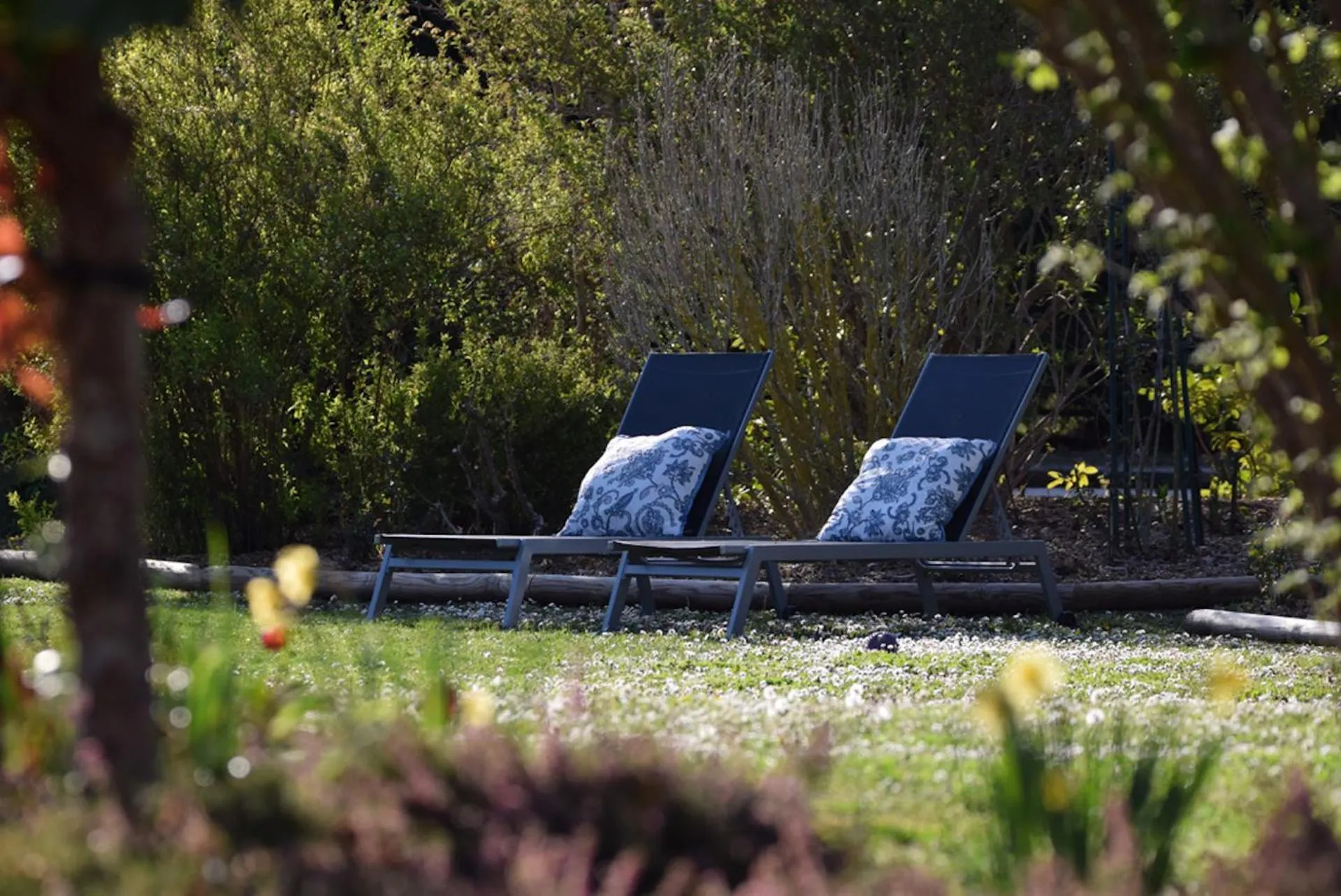 Garden in LA DEMALERIE