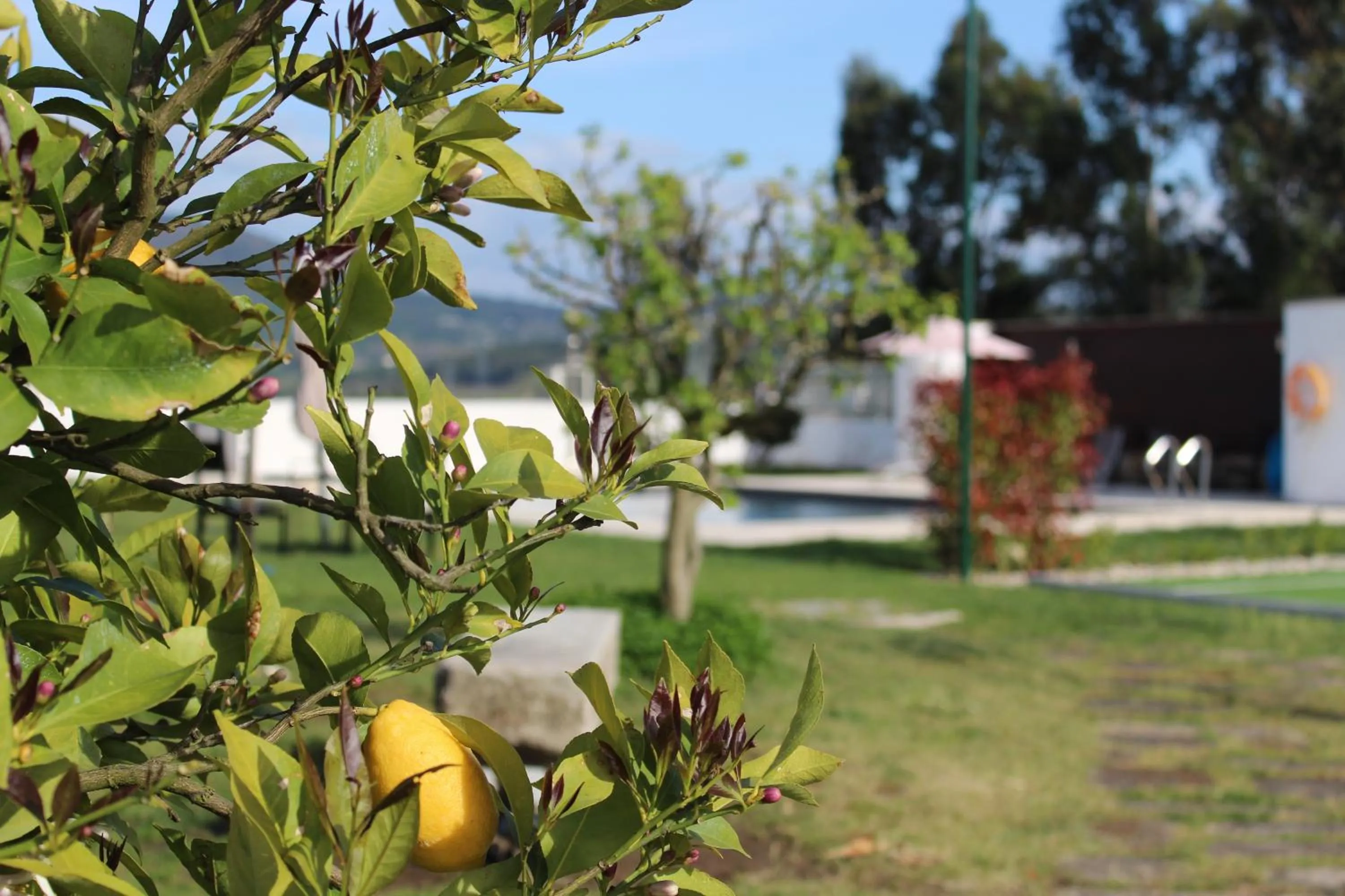 Property building in Casa d'Amares