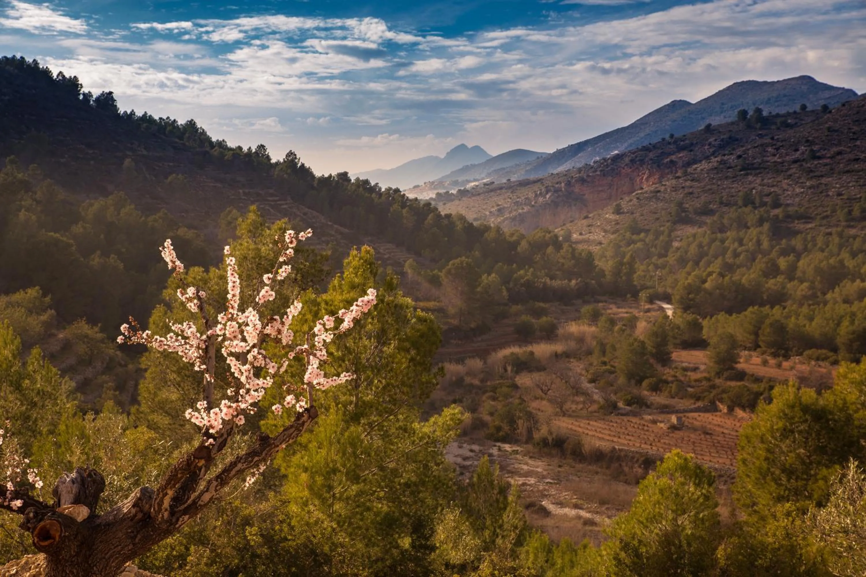 Natural landscape in M A S L A P A U Country Hotel - Adults only