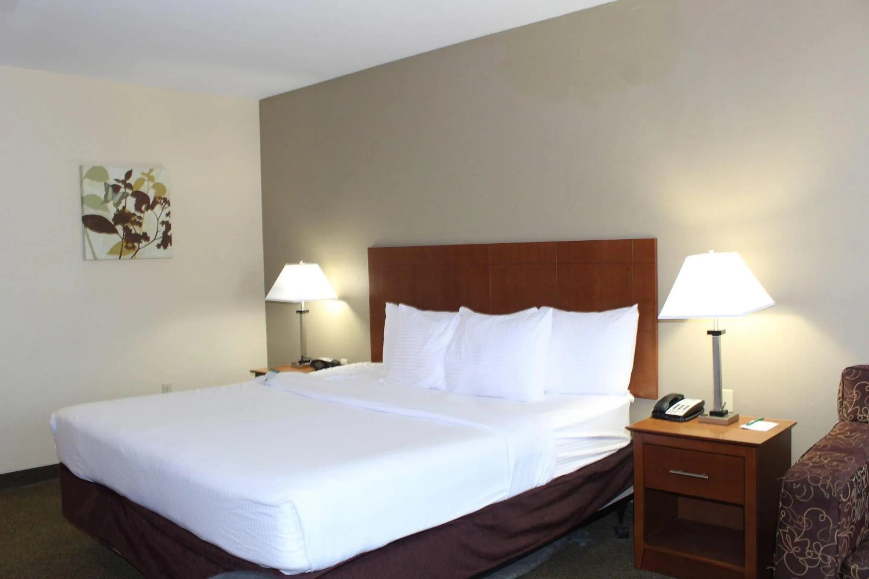 Bedroom, Bed in Quality Inn & Suites Williamsport