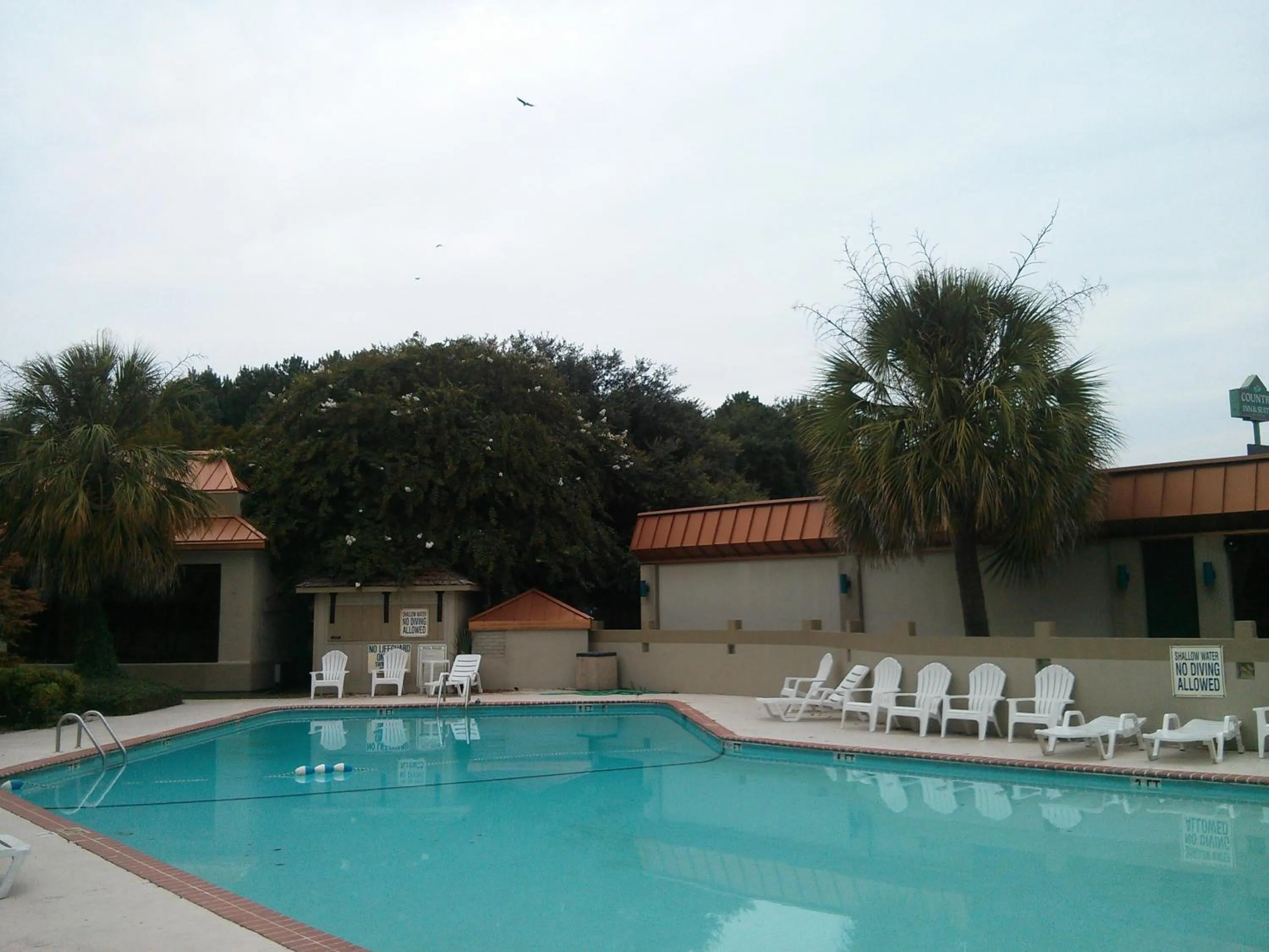 Pool view in Motel 6-Florence, SC