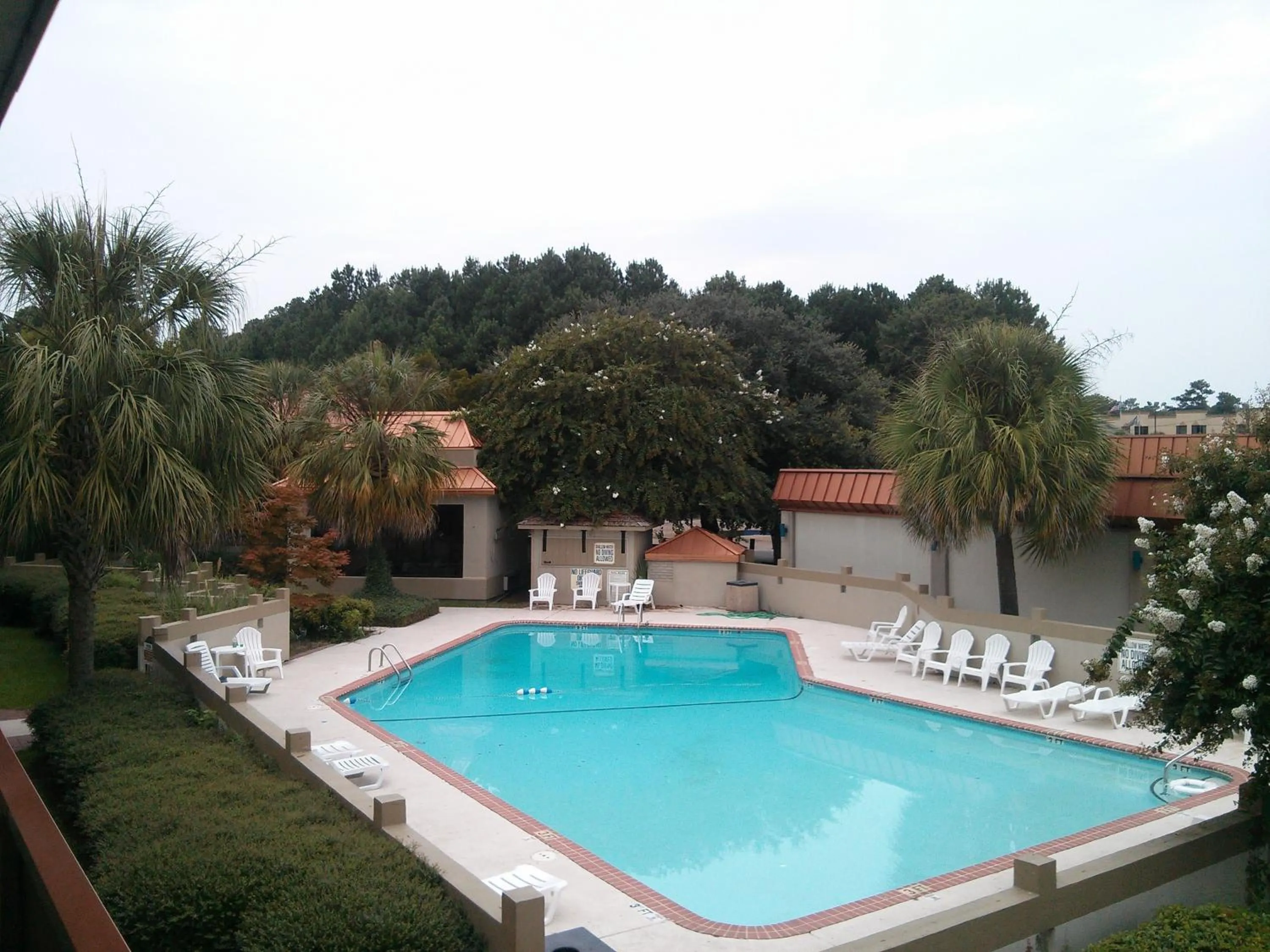 Swimming pool in Motel 6-Florence, SC