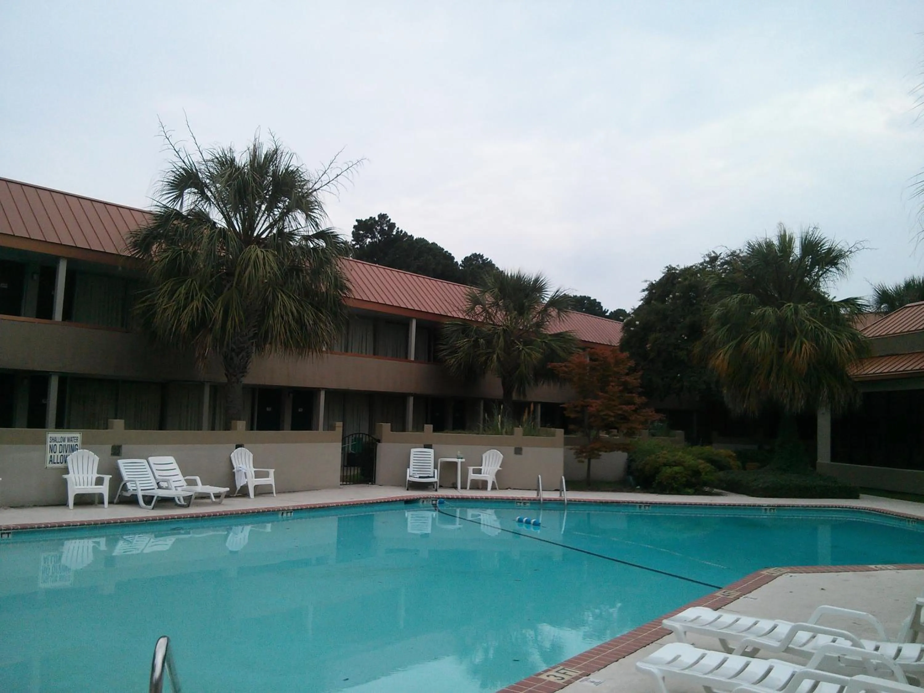 Swimming pool in Motel 6-Florence, SC