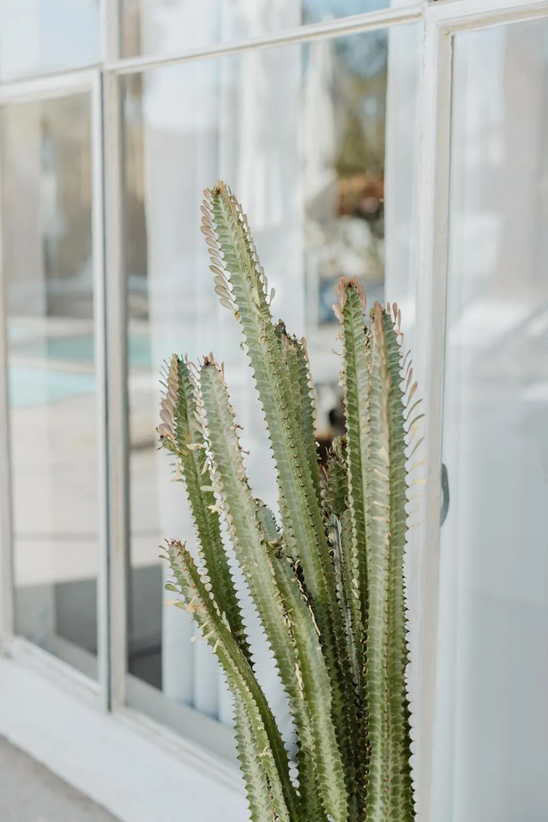 Natural landscape in Miracle Manor Boutique Hotel & Spa