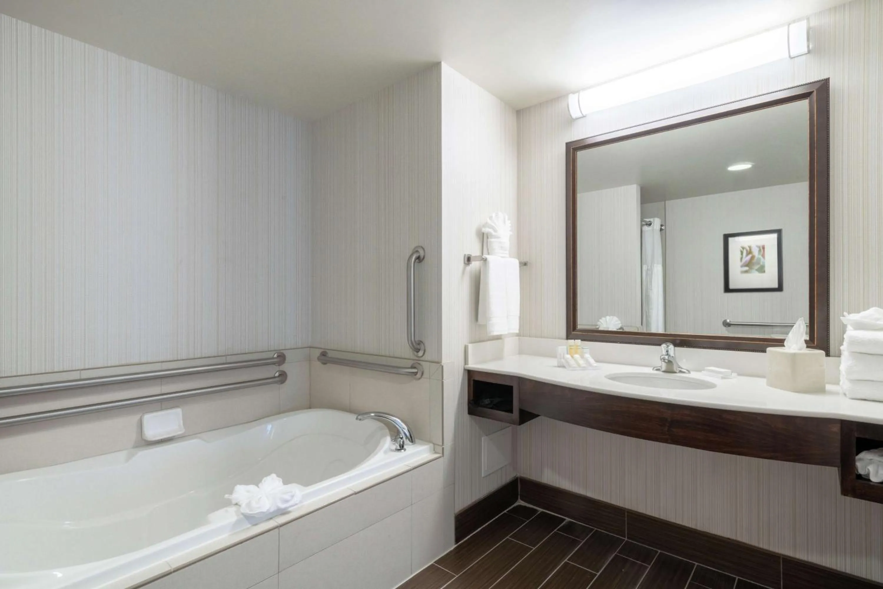 Bathroom in Hilton Garden Inn Valley Forge/Oaks