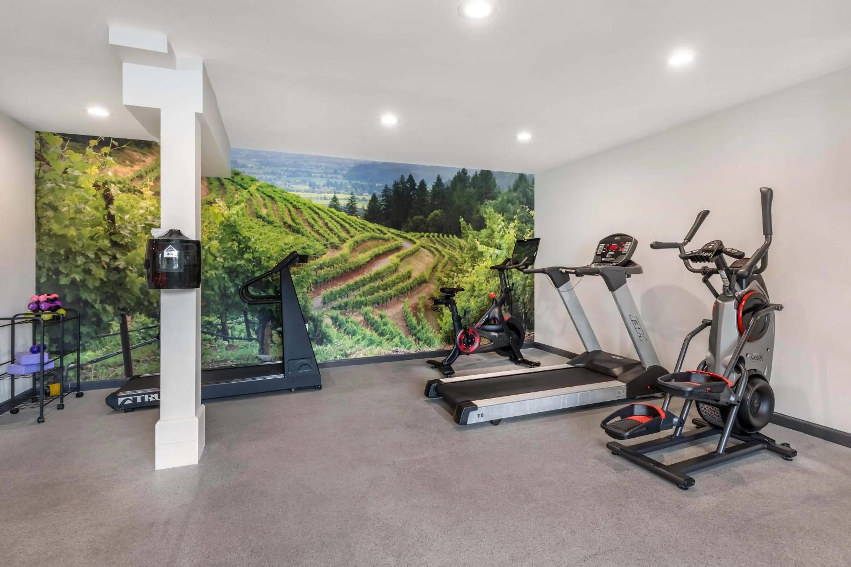 Fitness centre/facilities in The Sandman Santa Rosa Sonoma, an Ascend Collection Hotel