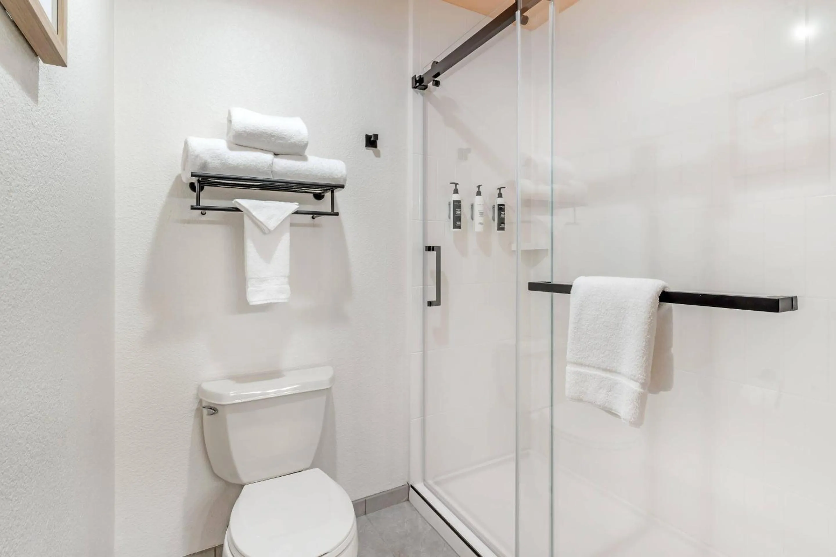 Bedroom in The Sandman Santa Rosa Sonoma, an Ascend Collection Hotel