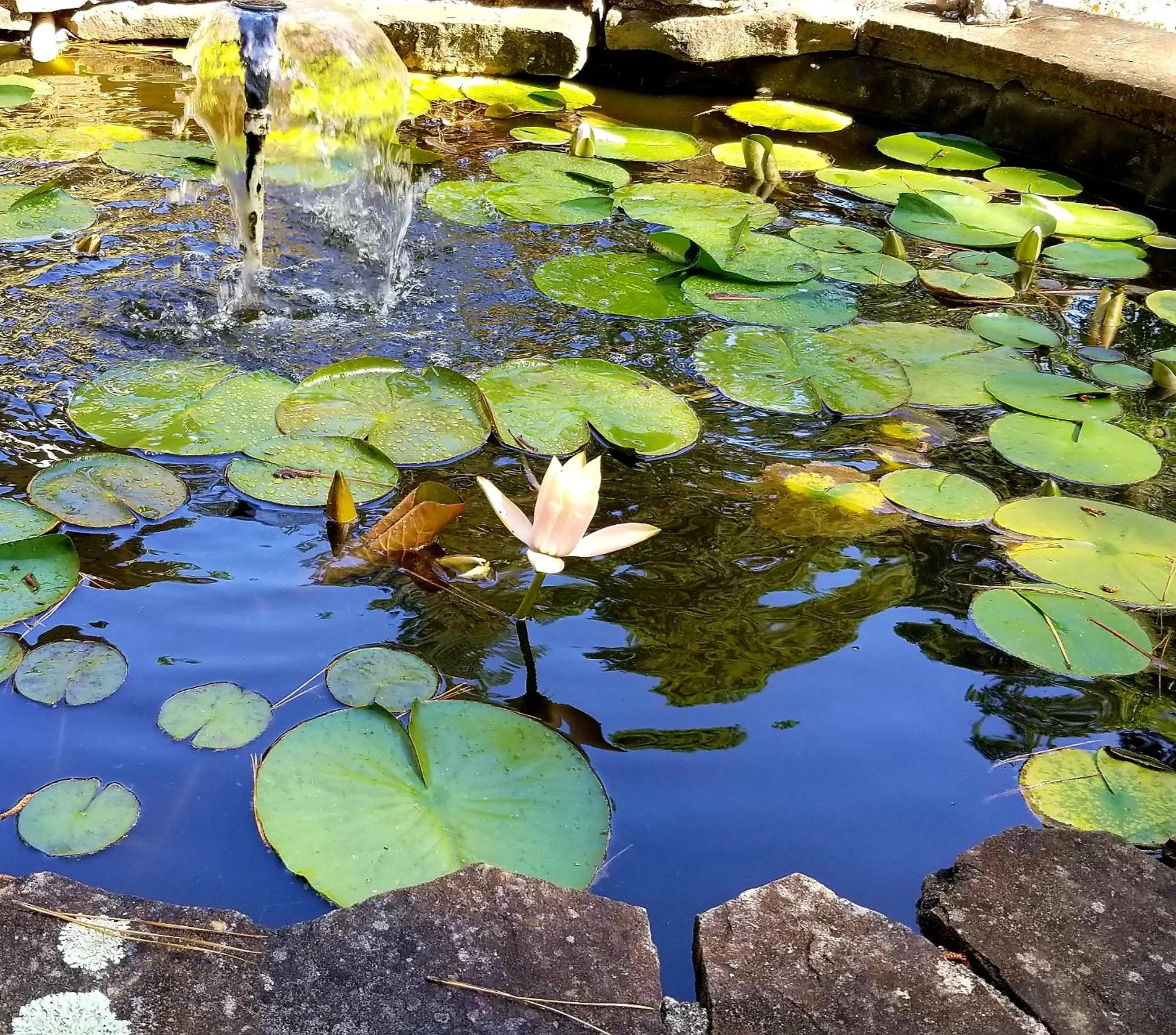 Day in Evening Shade Inn