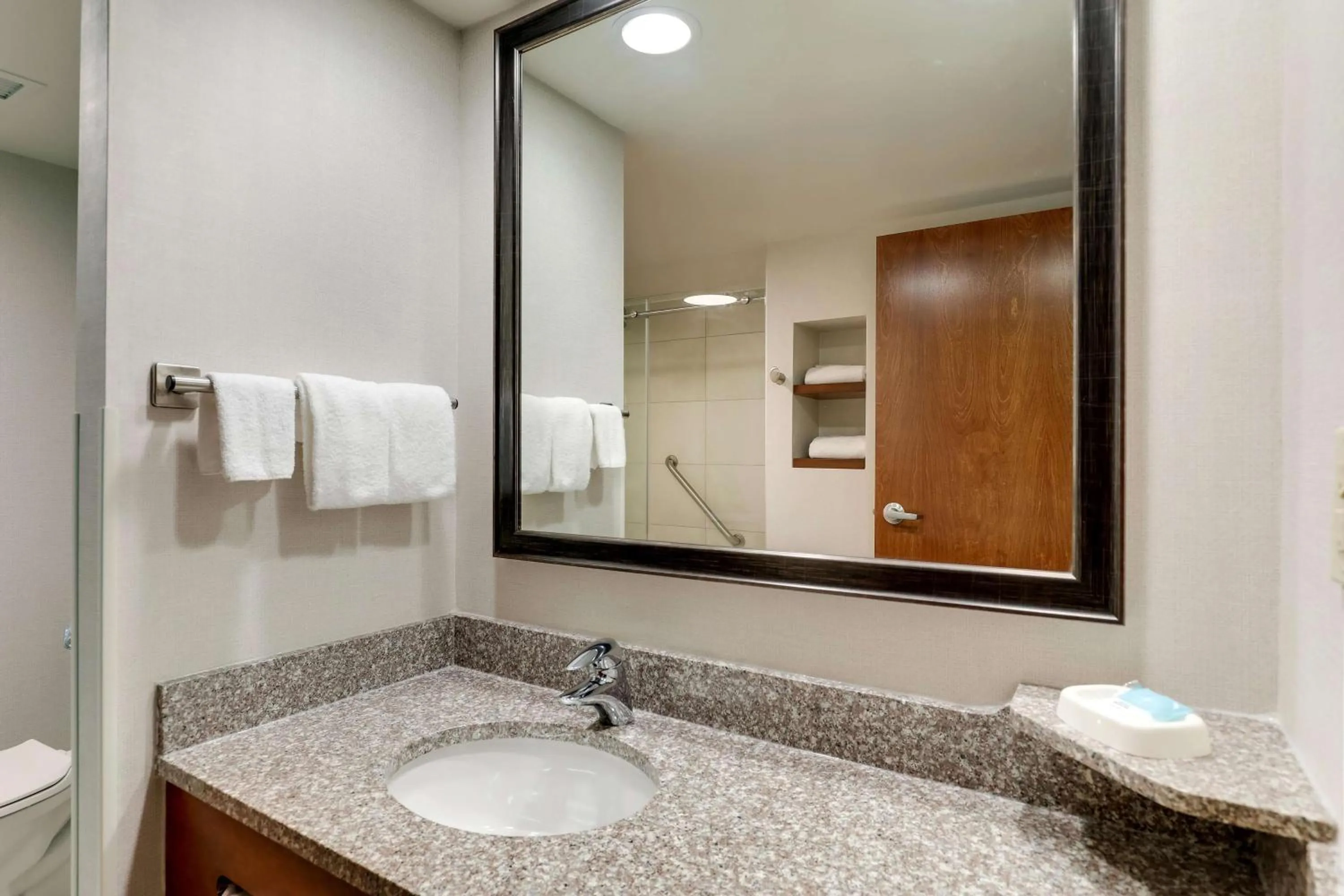 Bathroom in Drury Inn & Suites Birmingham Lakeshore Drive