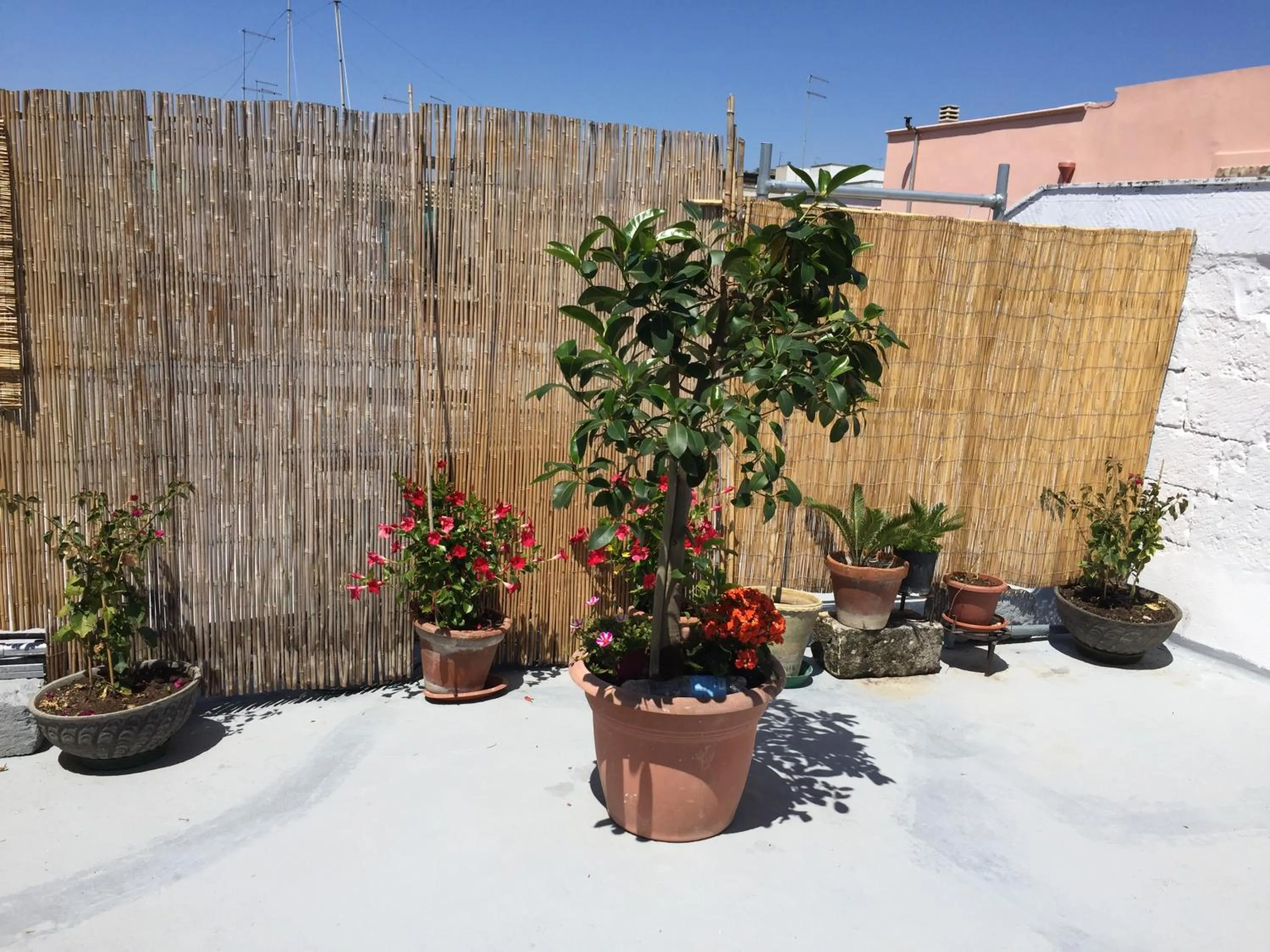 Property building in Le stanze di Cortès