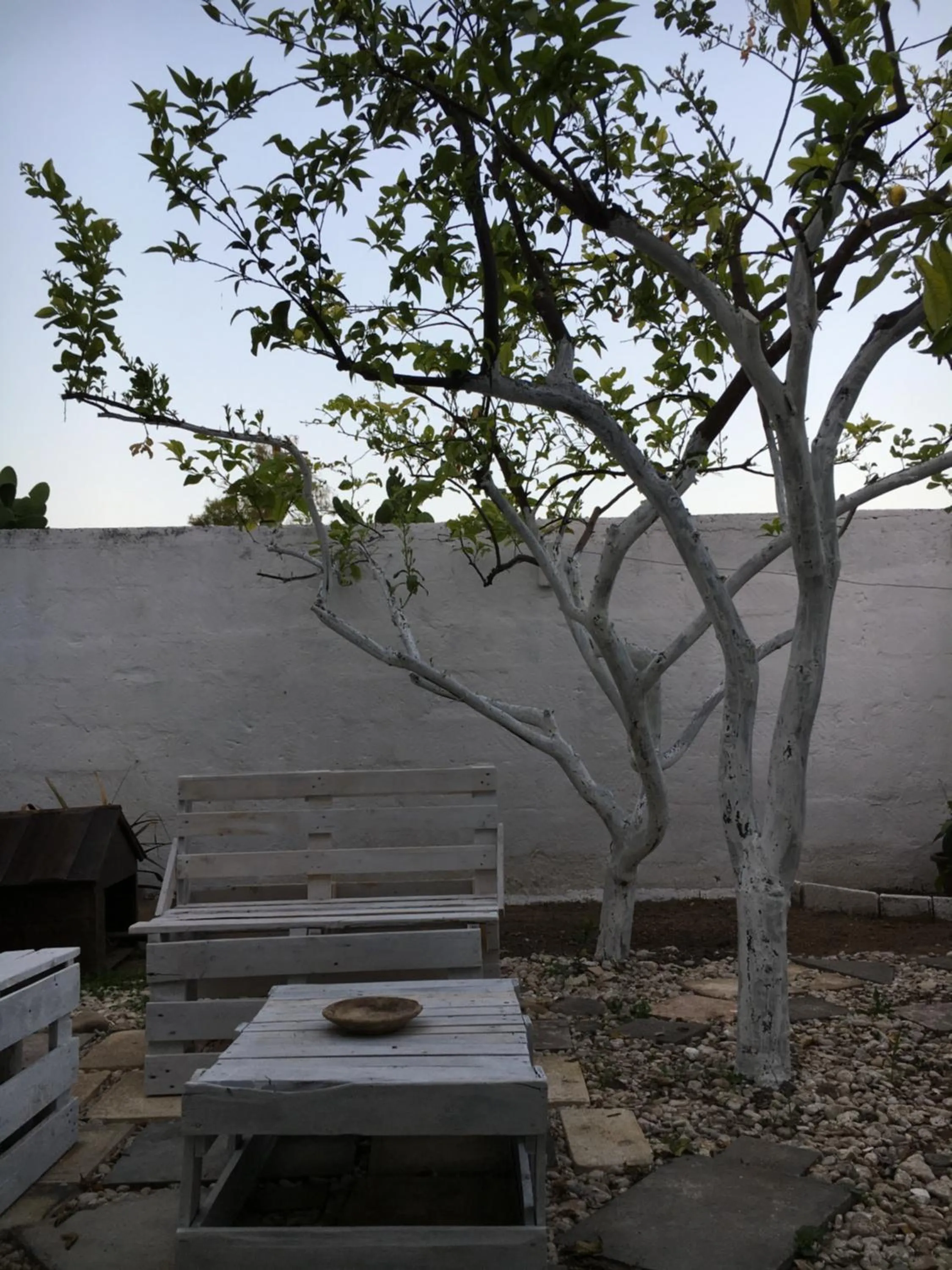 Le stanze di Cortès