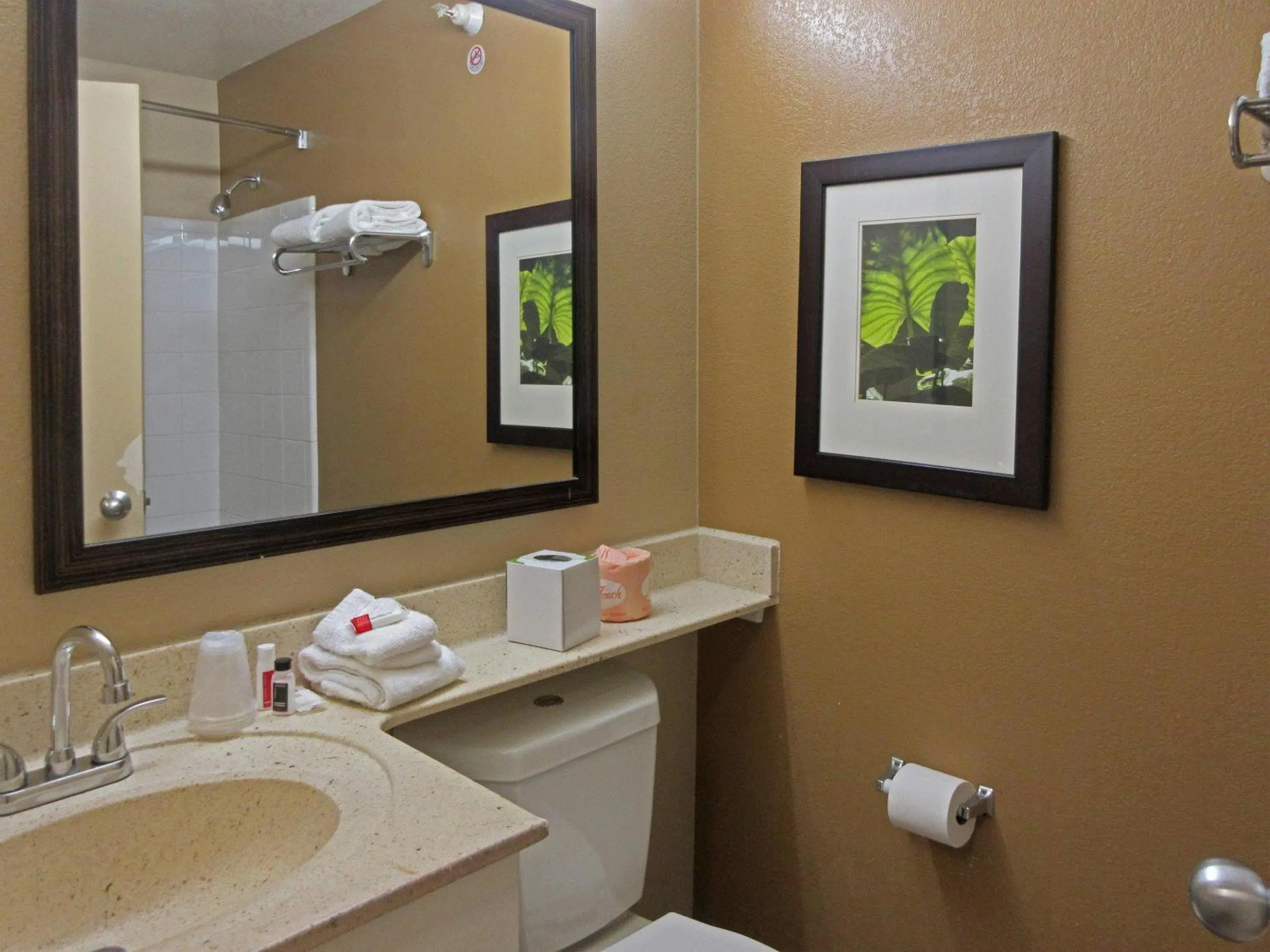 Bedroom in Suburban Studios Raleigh - Crabtree Valley