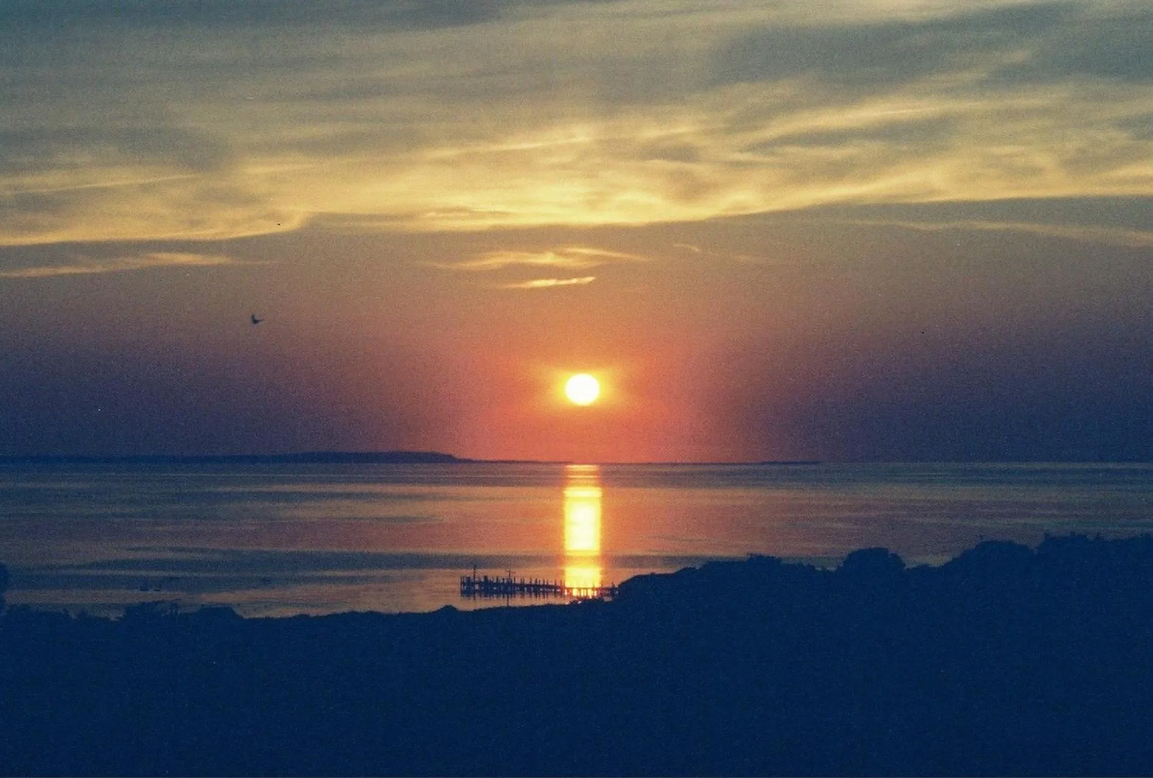 Beach in Montauk Manor
