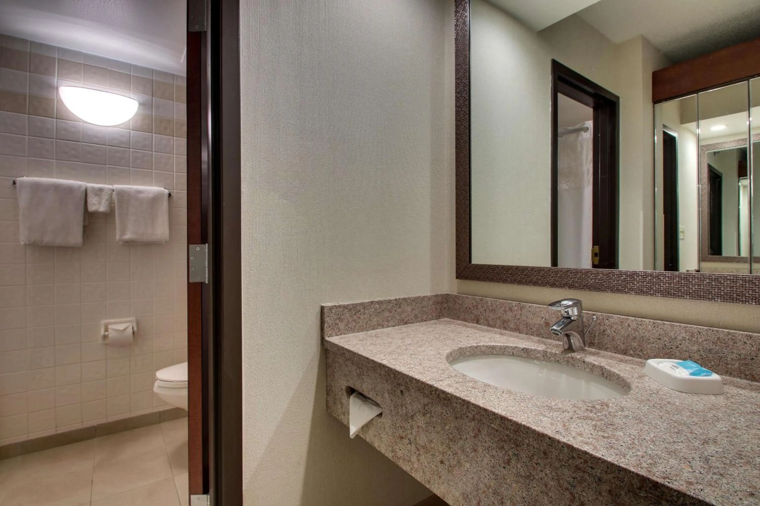 Bathroom in Drury Inn & Suites Bowling Green