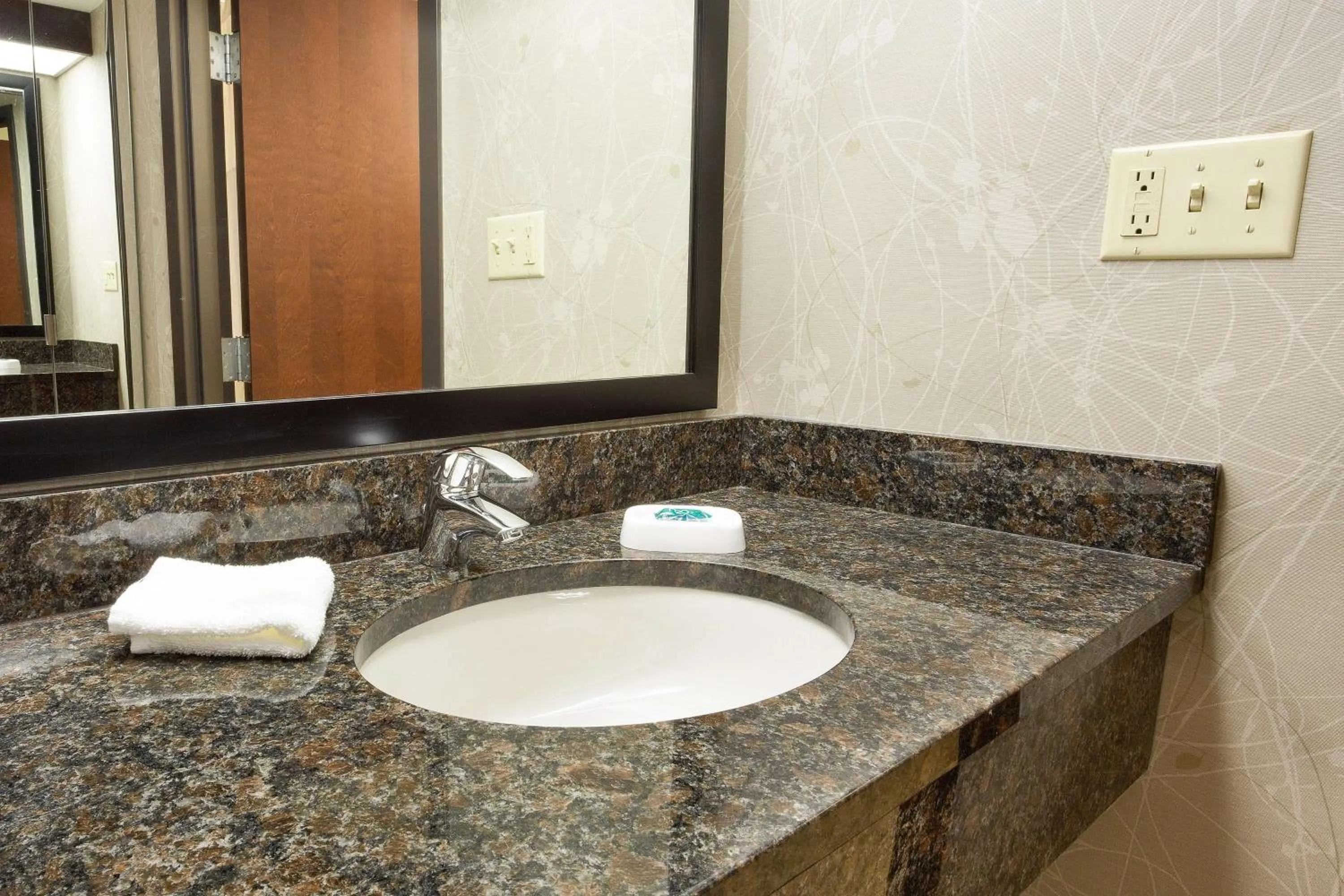 Bathroom in Drury Inn & Suites Greensboro