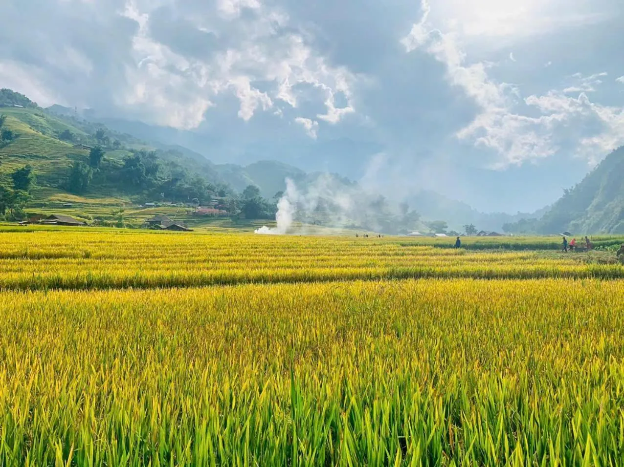 View (from property/room) in KK Sapa Hotel