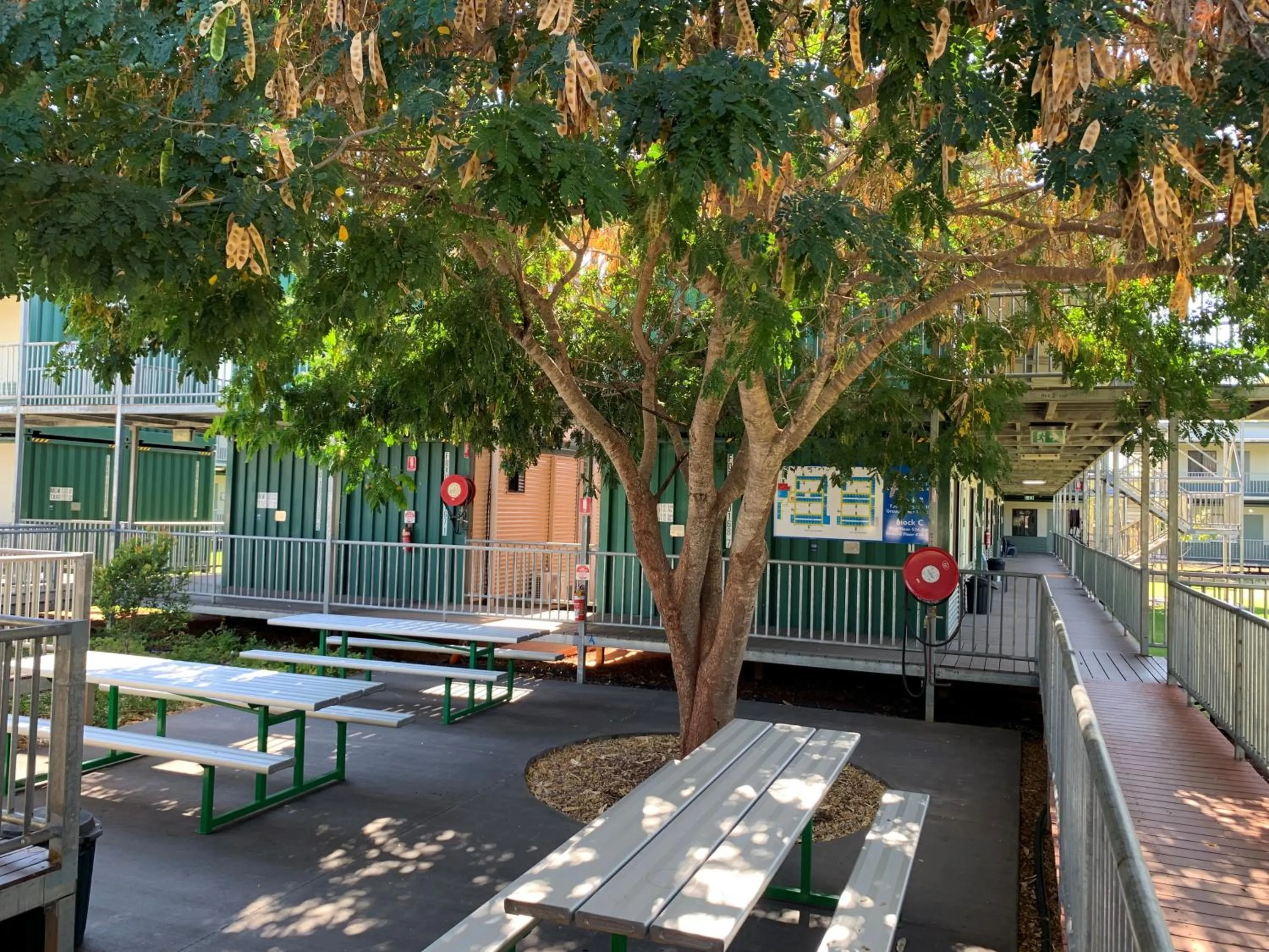Patio in Victoria Village