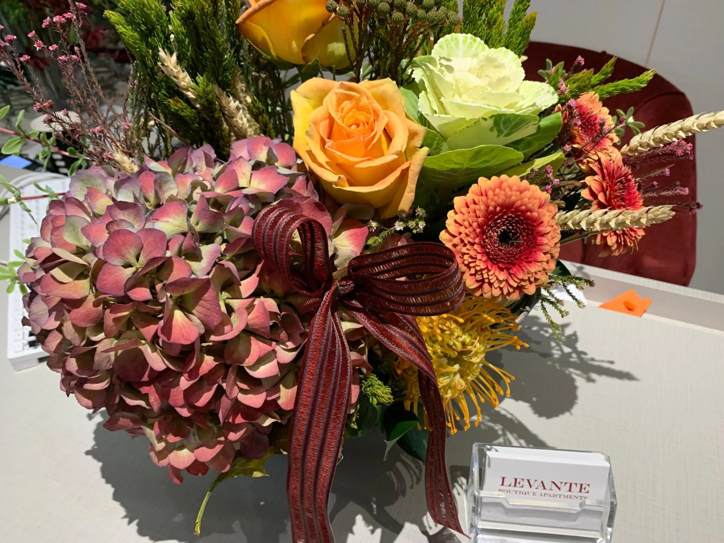 Levante Holiday Apartments